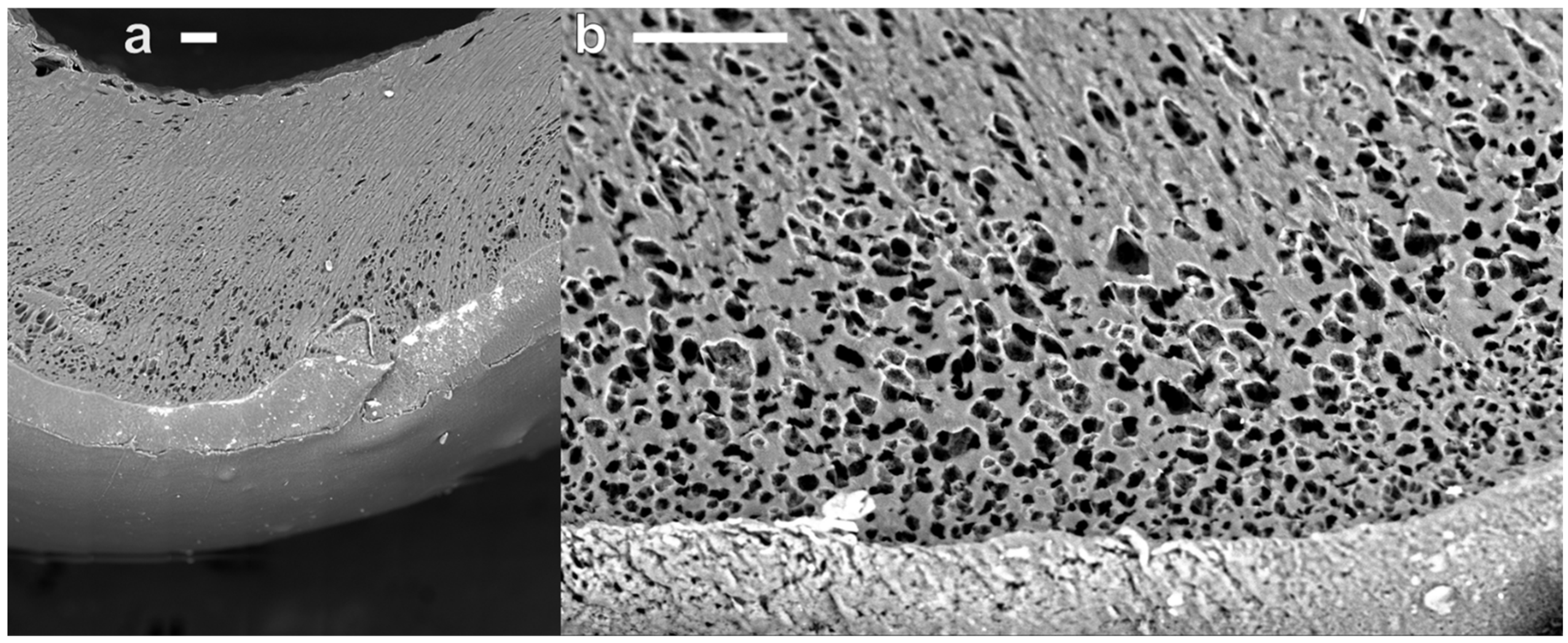 Materials 19 00557 g005