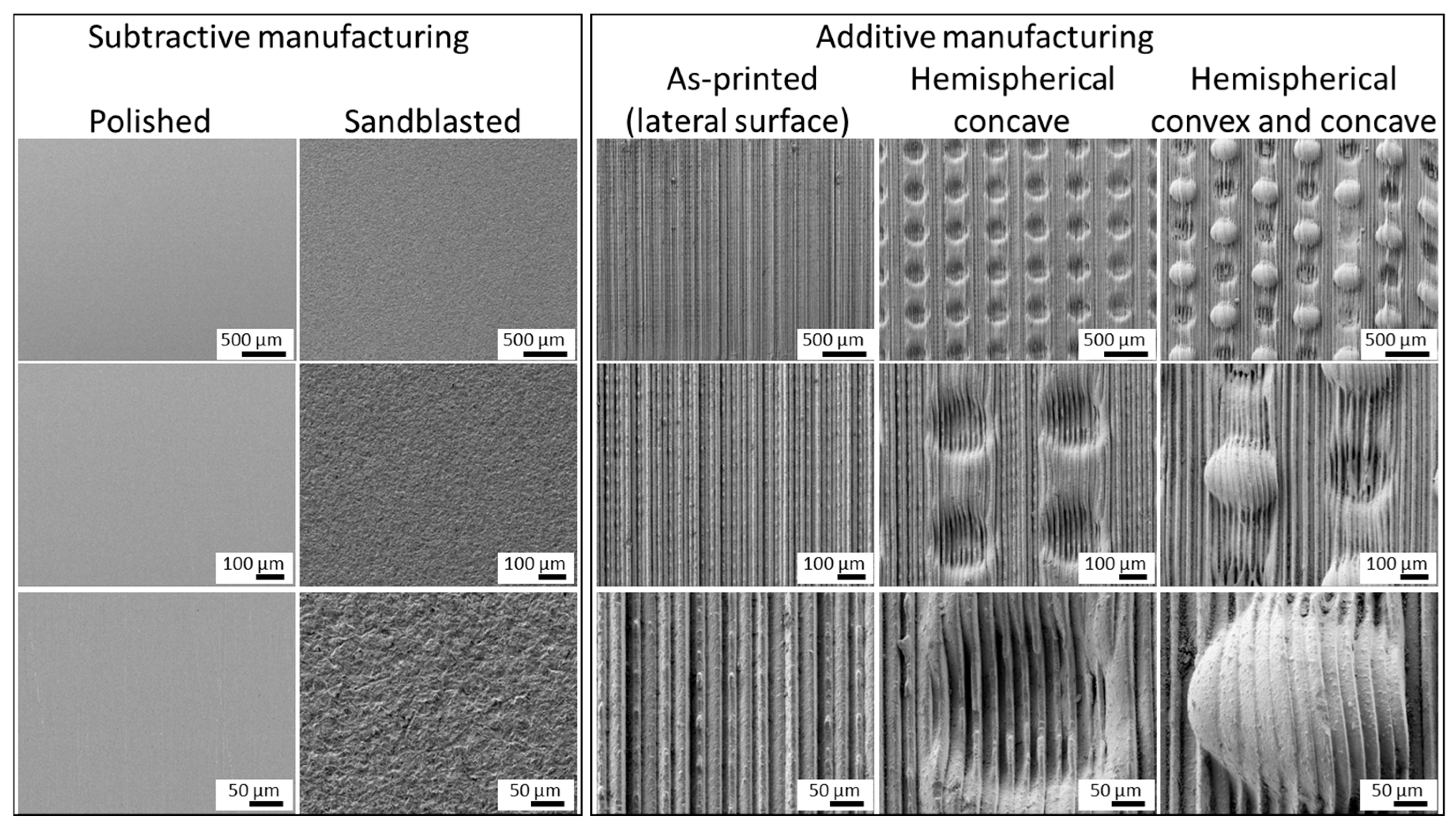 Materials 19 00563 g002