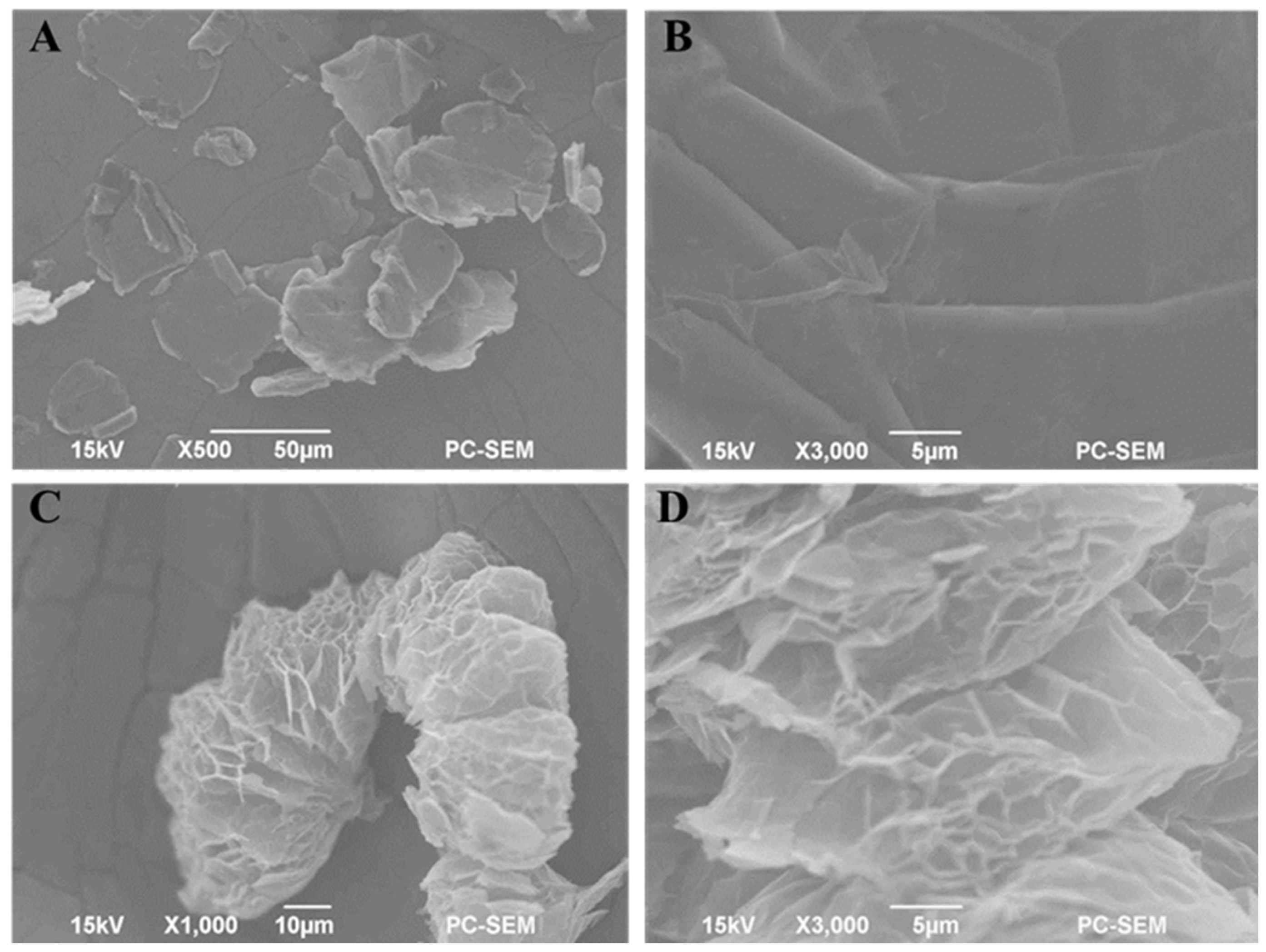 Materials 19 00586 g001 Materials 19 00586 g001