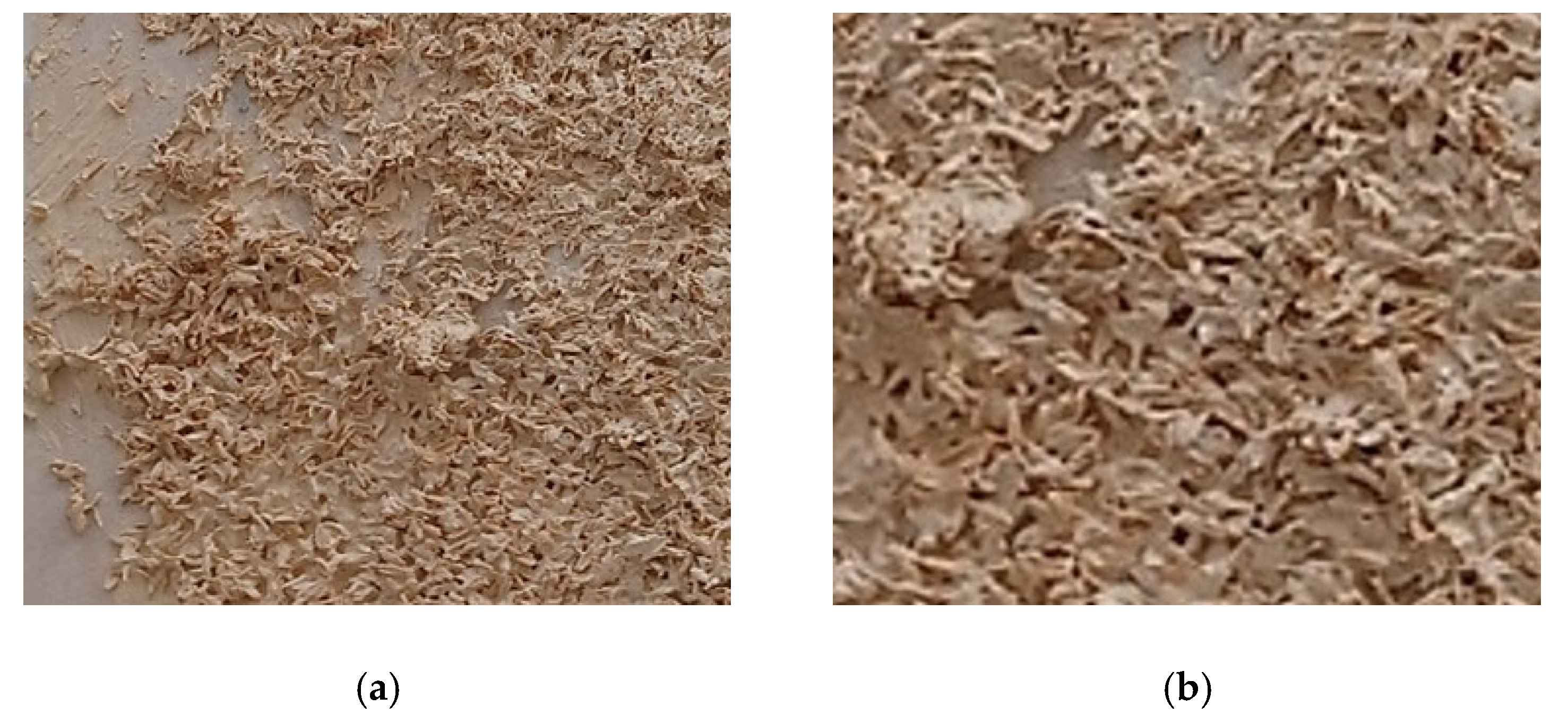 Materials 19 00590 g003