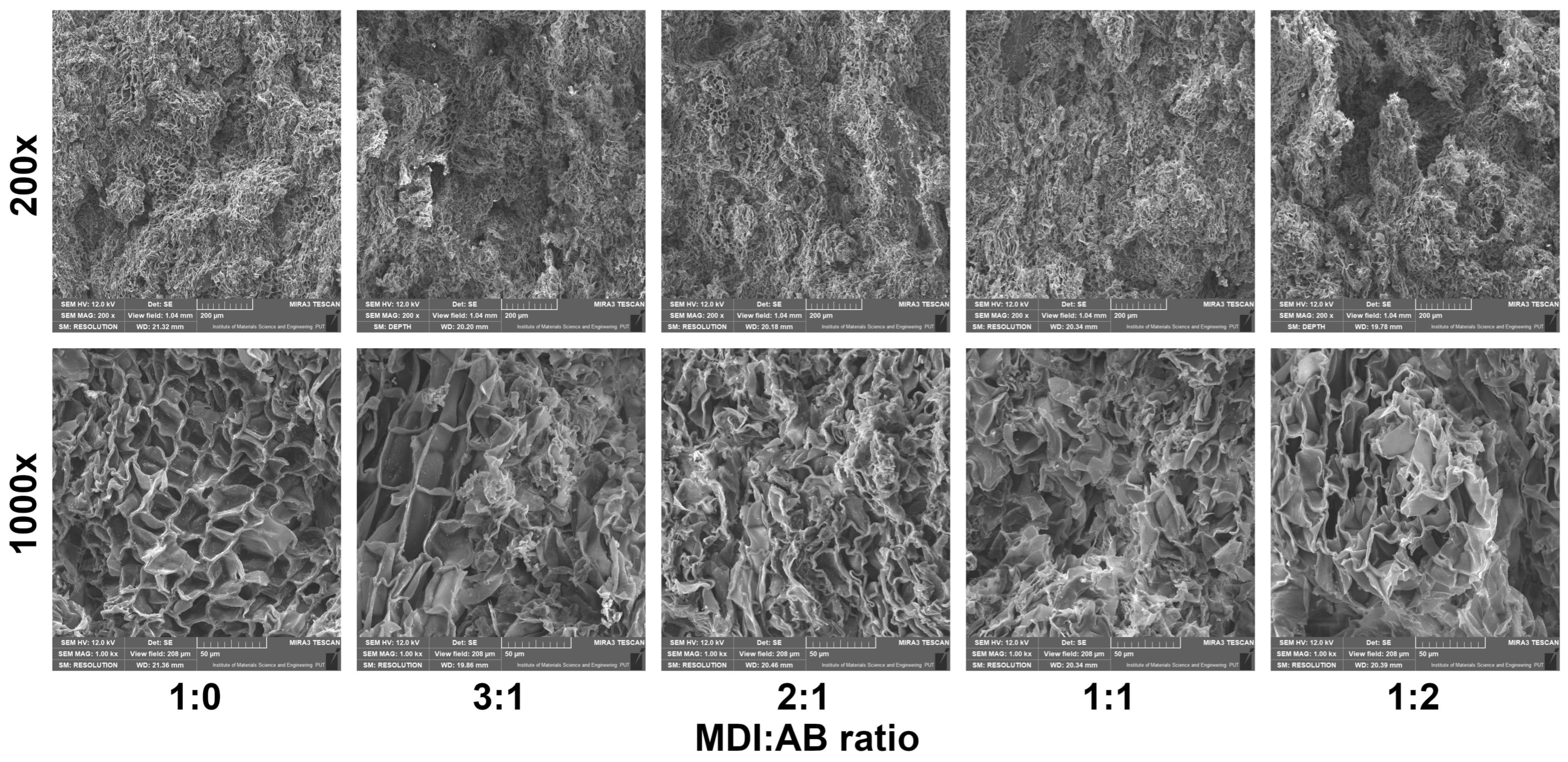 Valorization of Cork Waste in Particleboards Production with Innovative ...