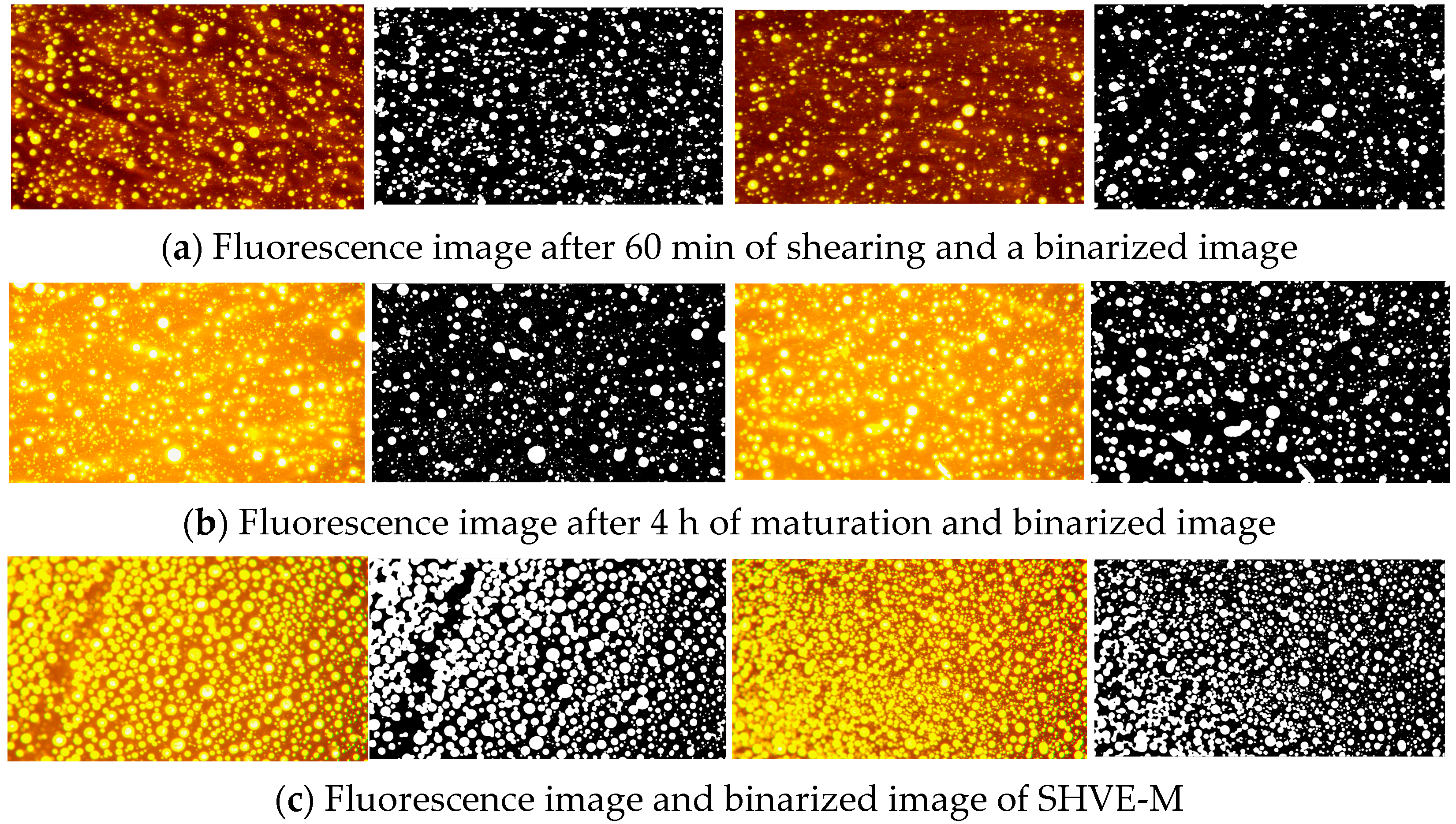 Materials 19 00633 g008a