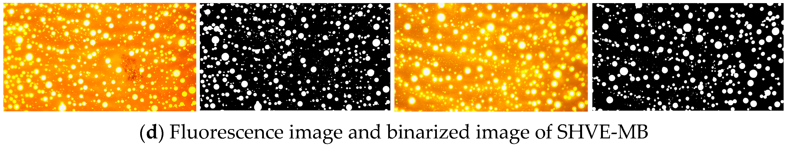 Materials 19 00633 g008b