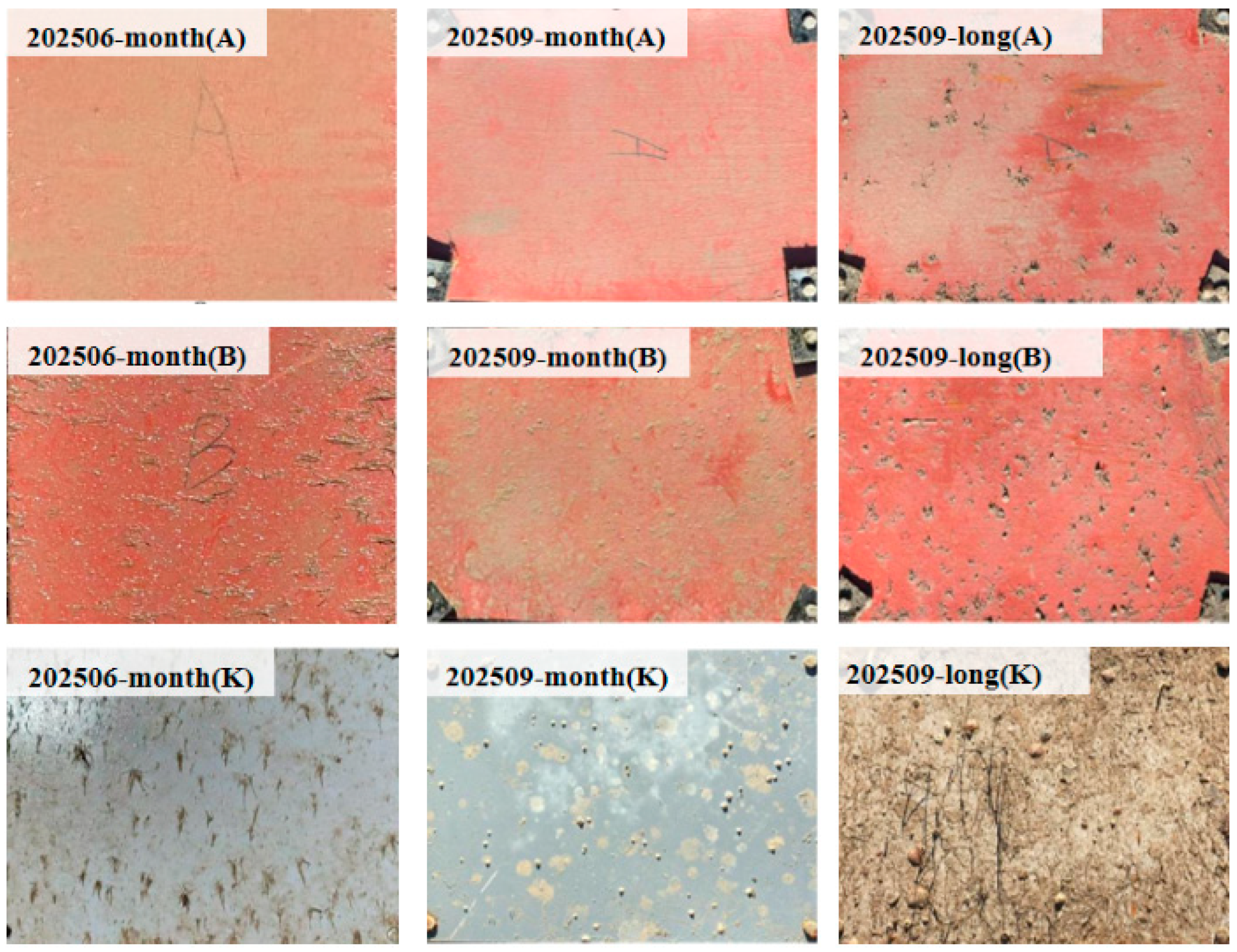 Materials 19 00691 g004