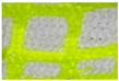 Materials 19 00700 i004 Materials 19 00700 i004