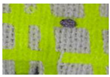 Materials 19 00700 i008 Materials 19 00700 i008