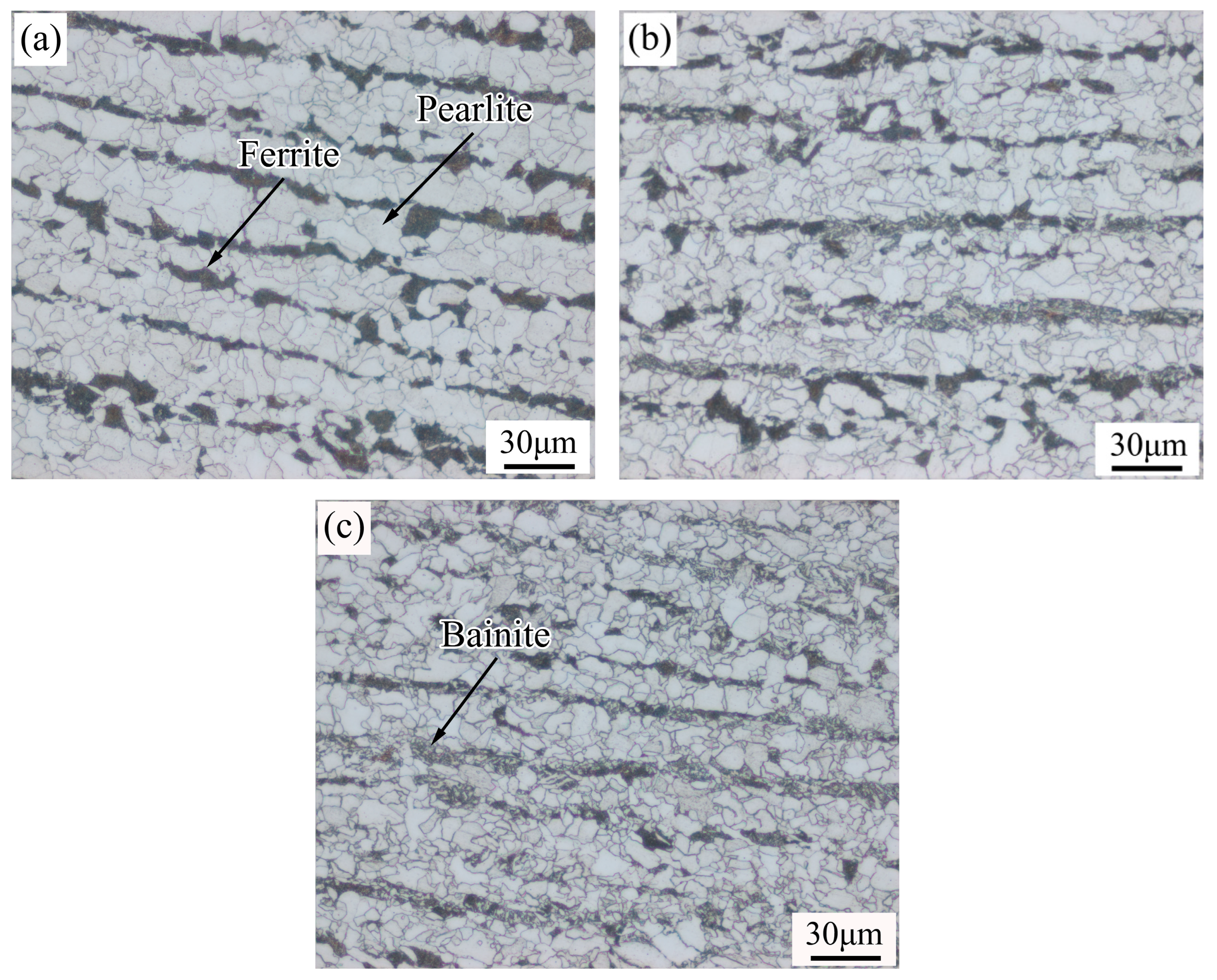 Study on Microstructure and Properties of Q460 Steel at Different