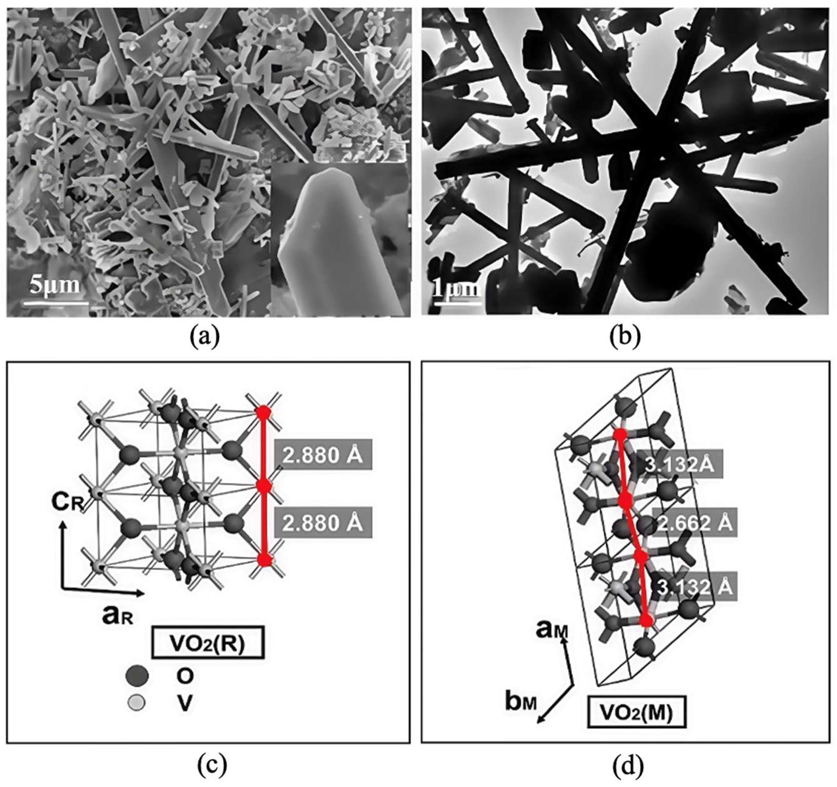 Materials 19 00742 g006