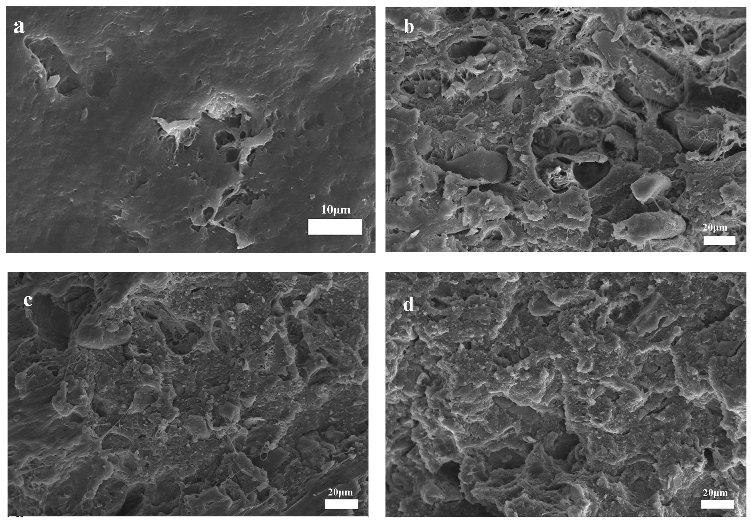 Materials 19 00873 g007