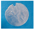 Materials 19 00897 i001