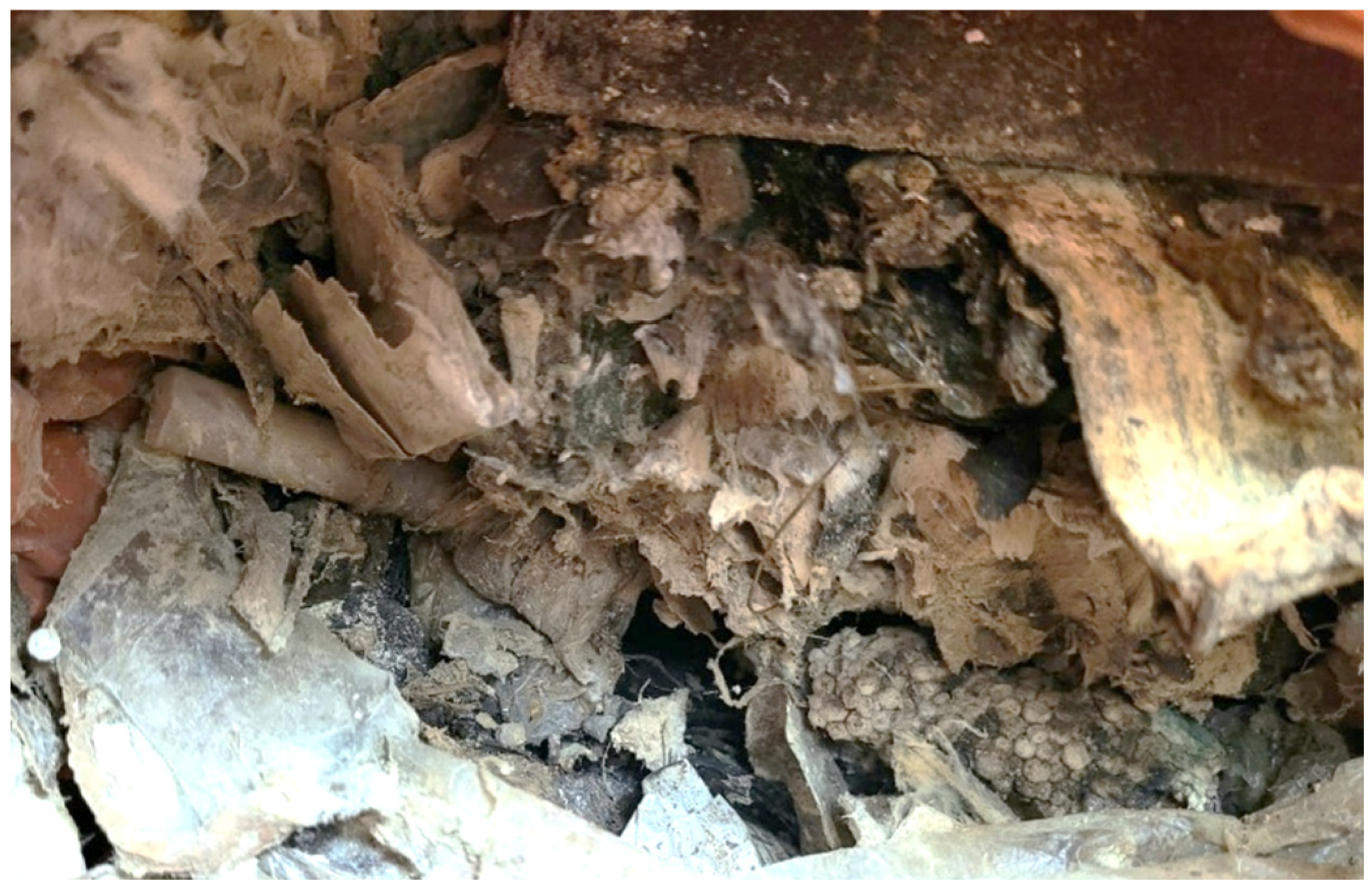 Materials 19 00969 g001