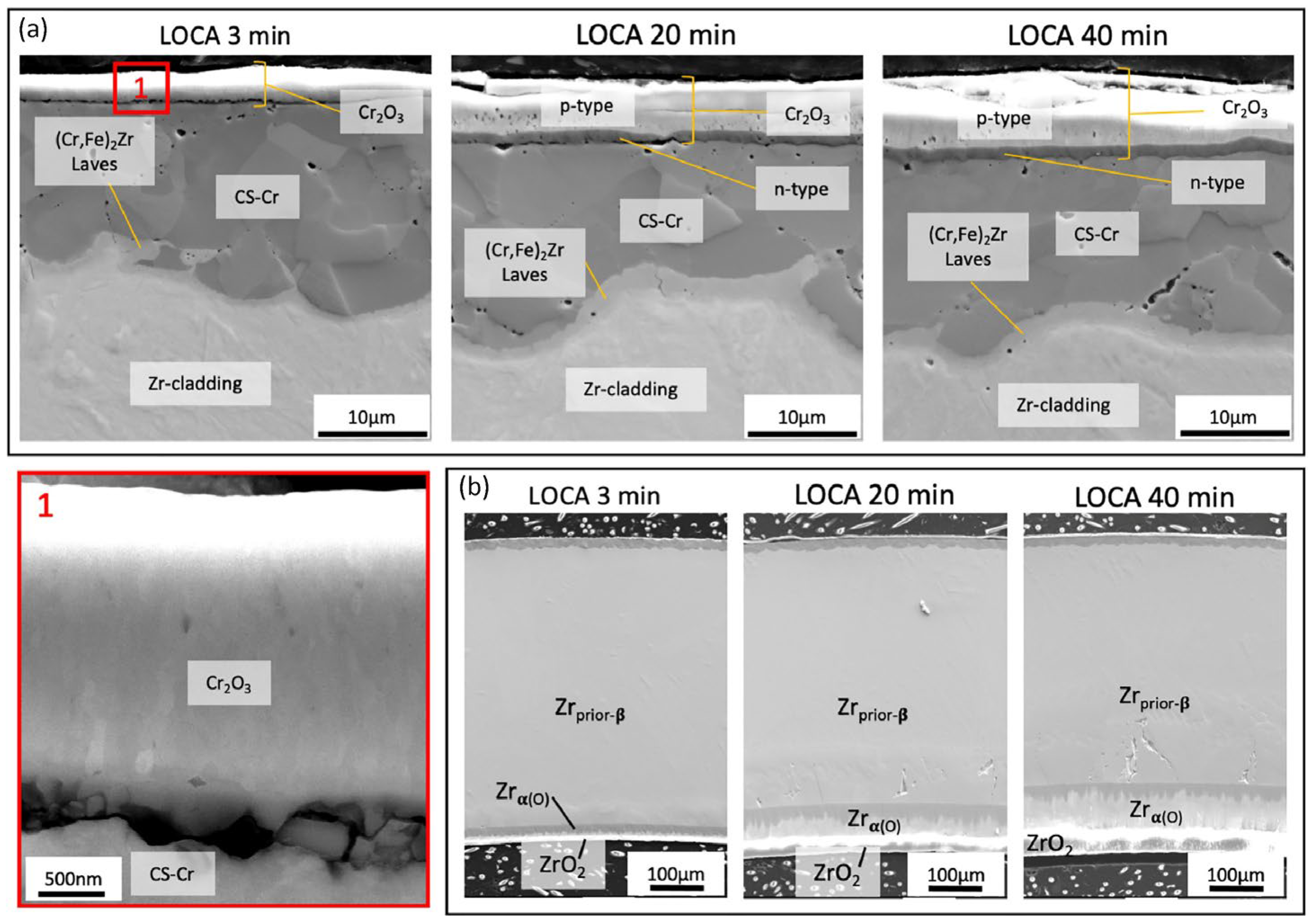 Materials 19 01056 g011