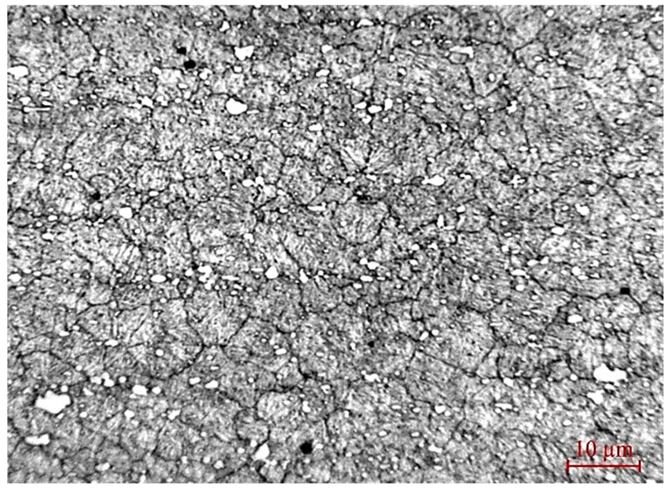 Materials 19 01073 g001 Materials 19 01073 g001