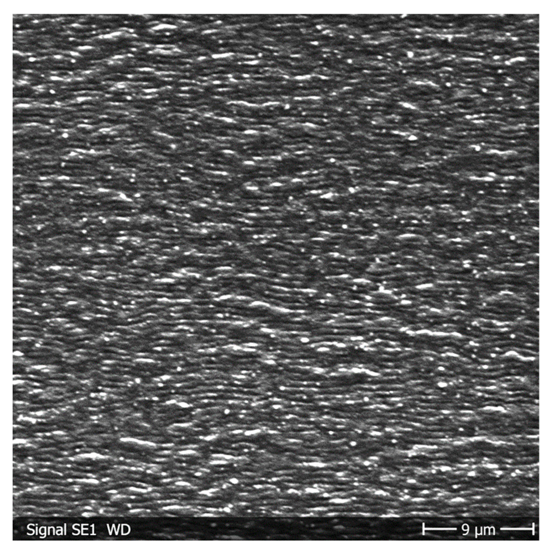 Materials 19 01091 g004