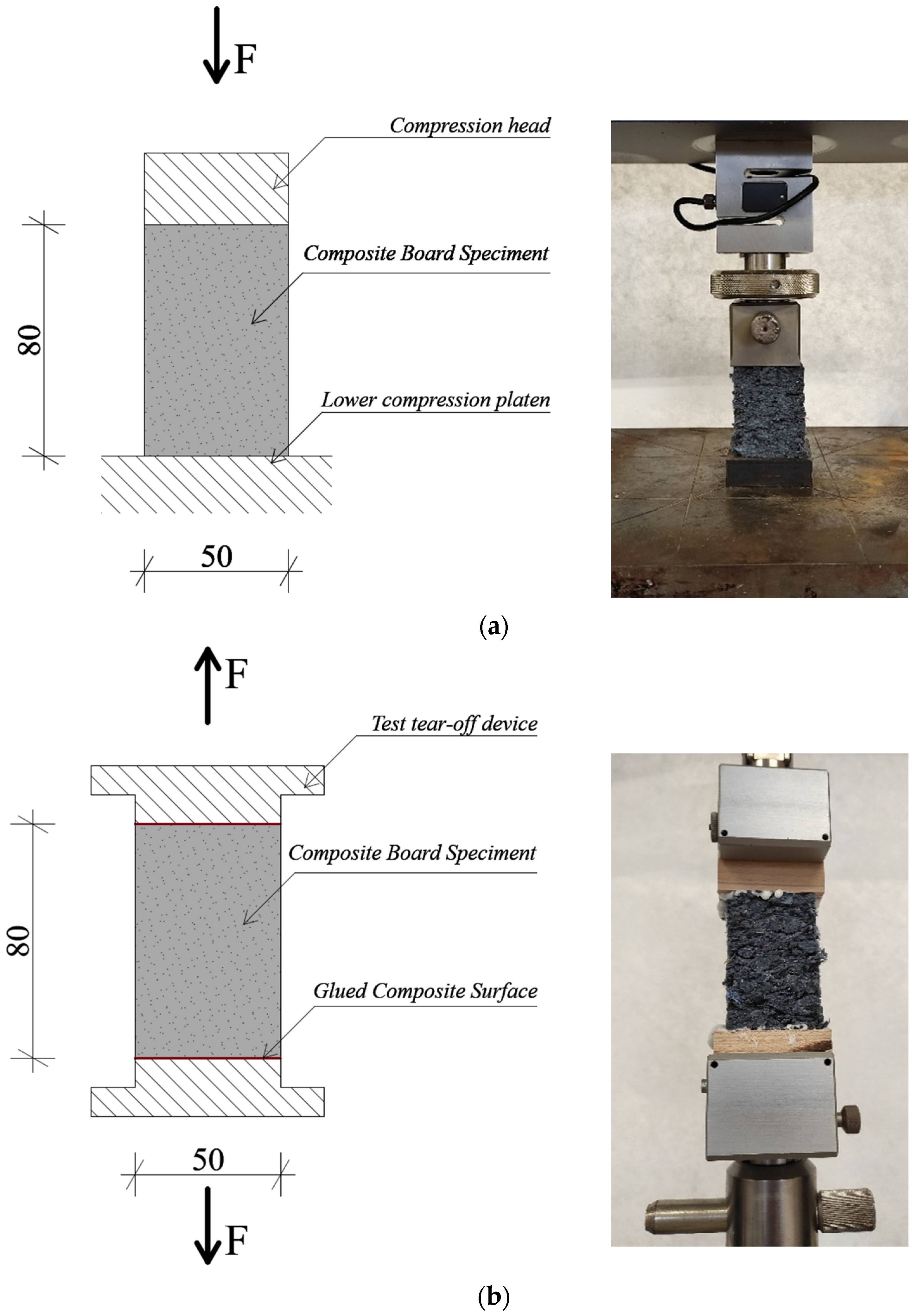 Materials 19 01097 g002
