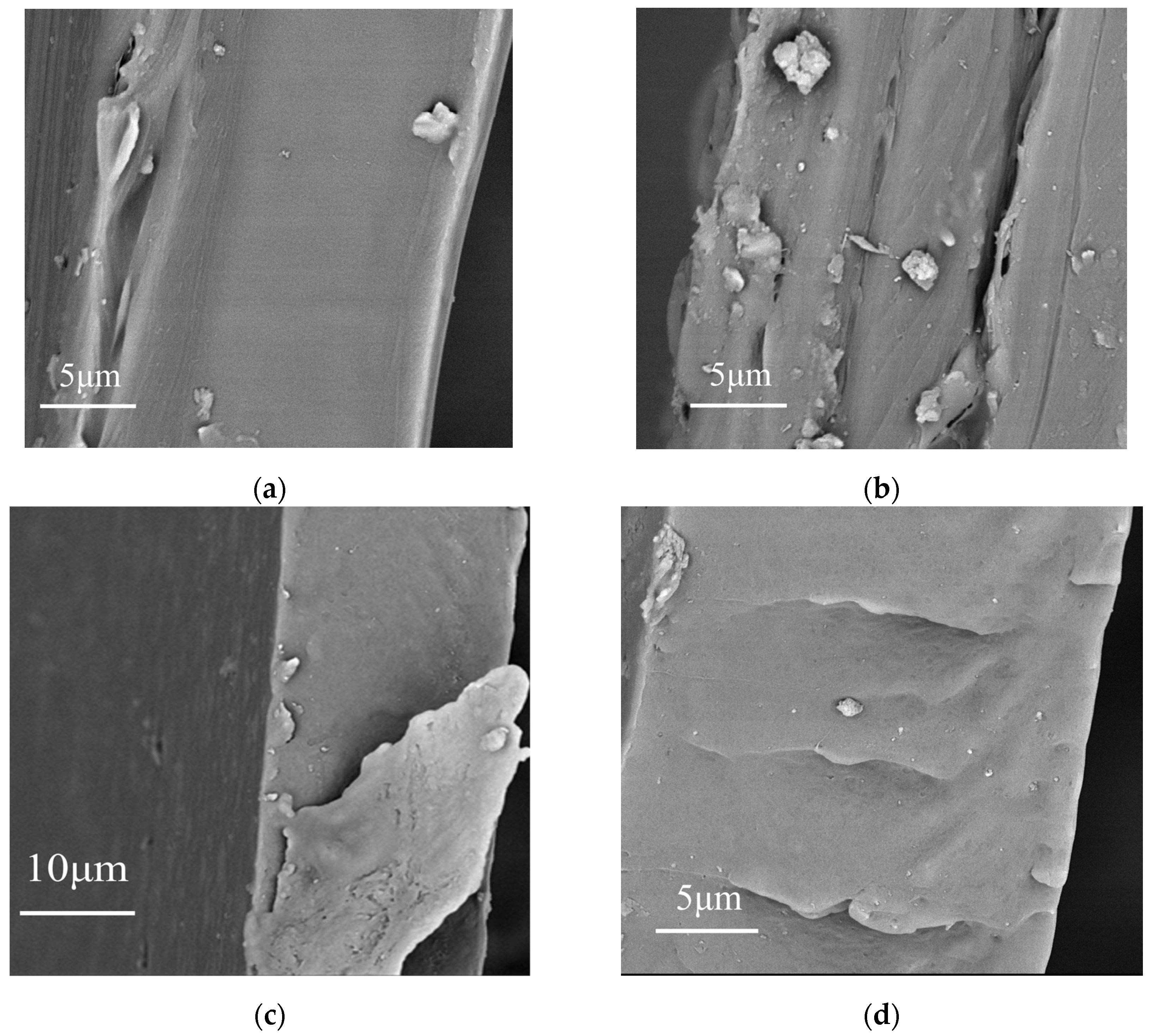 Materials 19 01137 g002a Materials 19 01137 g002a