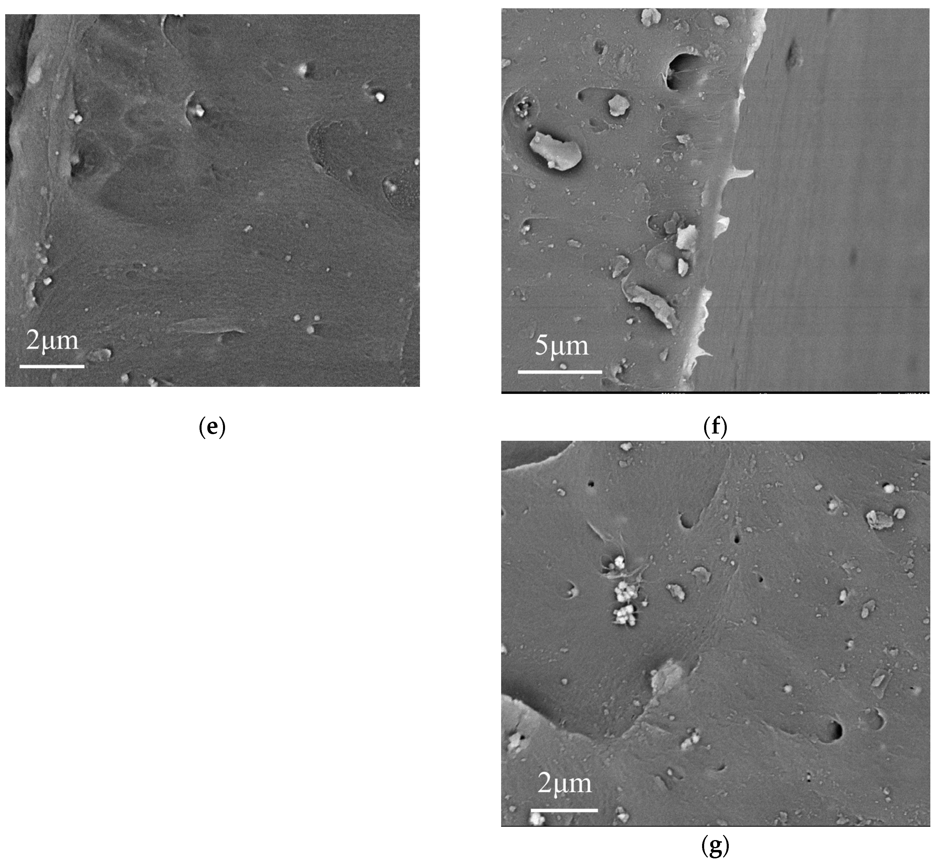 Materials 19 01137 g002b Materials 19 01137 g002b