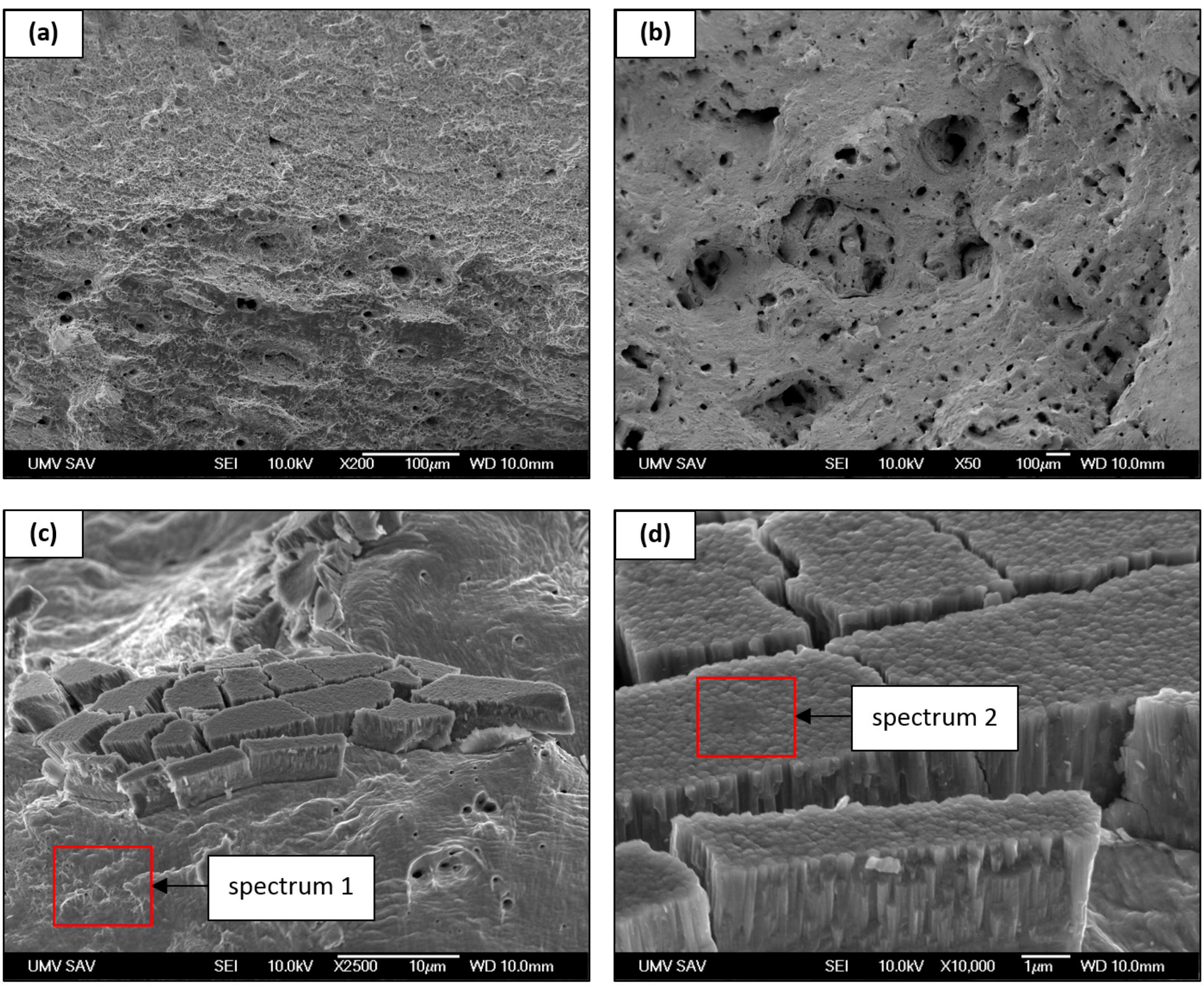 Materials 19 01184 g006