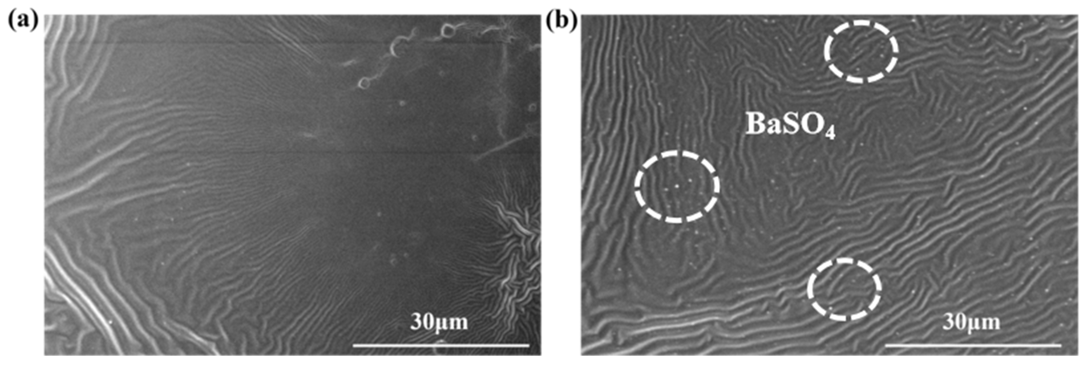 Materials 19 01244 g001