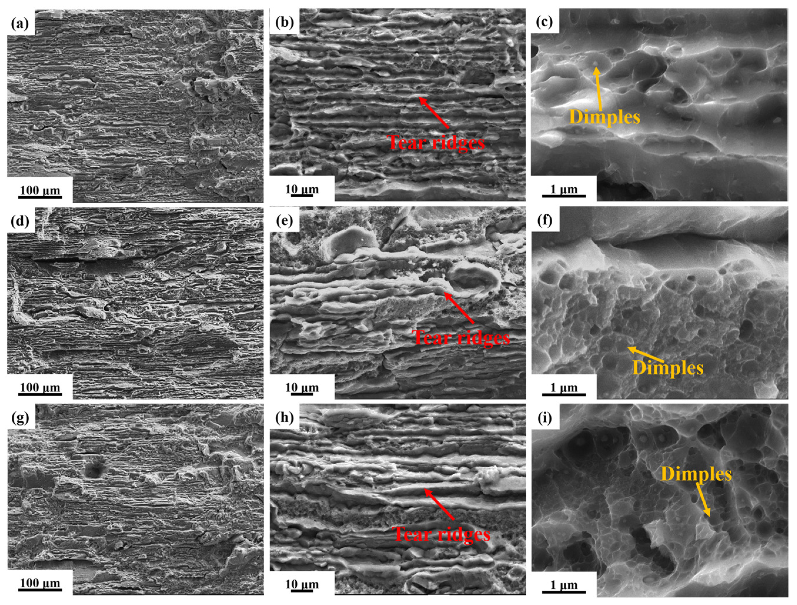 Materials 19 01245 g014 Materials 19 01245 g014