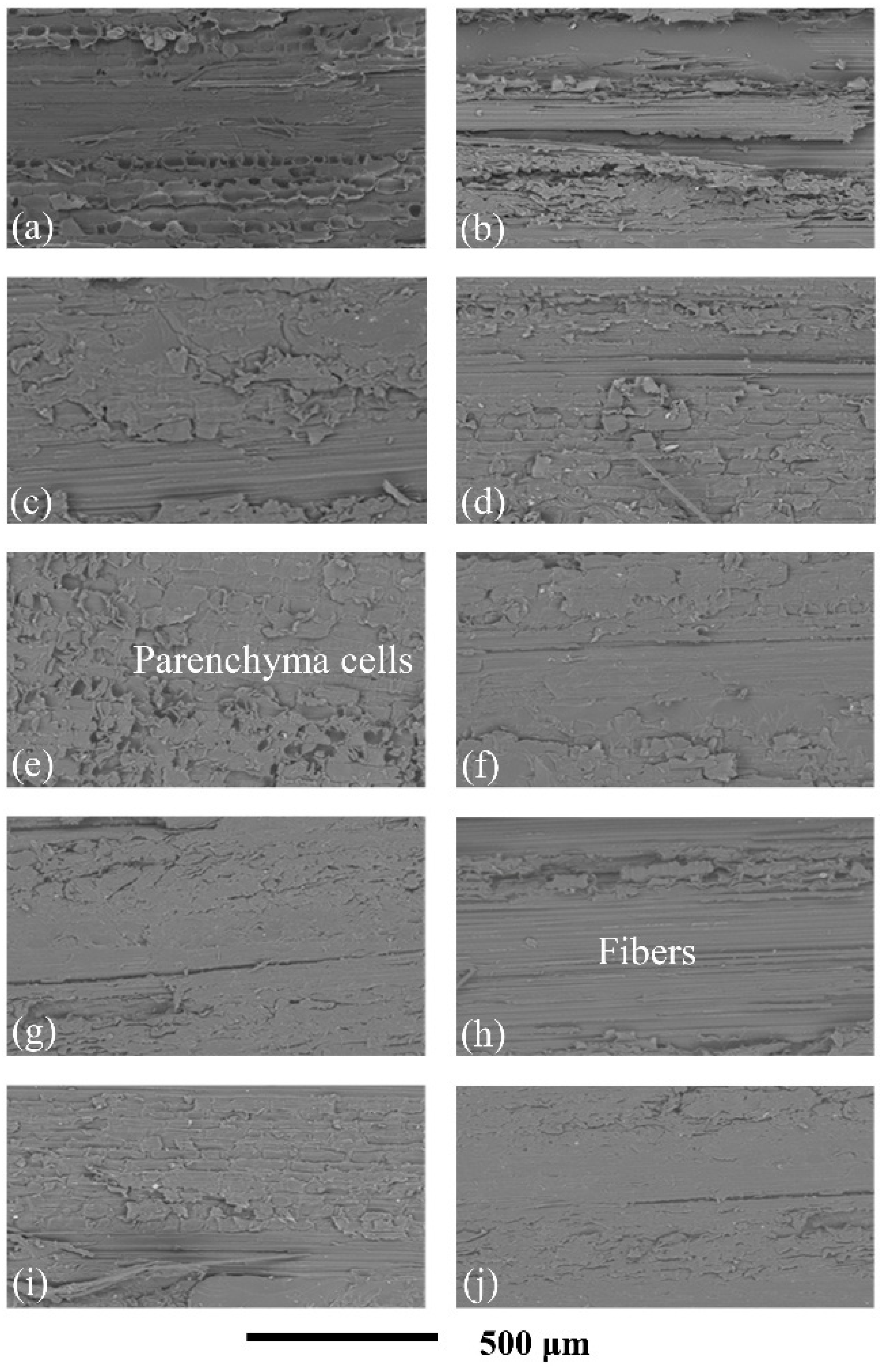 Materials 19 01296 g010 Materials 19 01296 g010