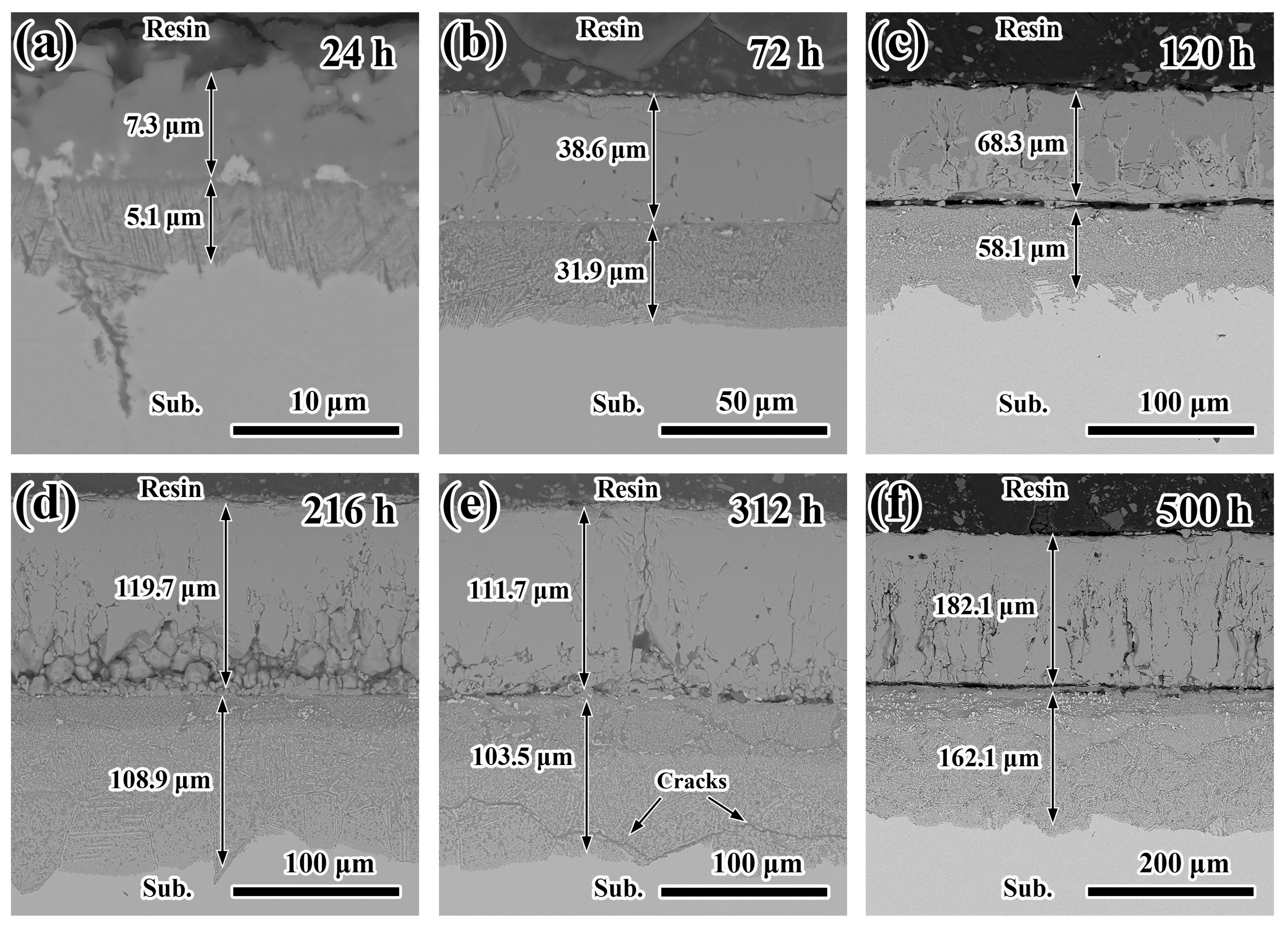 Materials 19 01312 g005