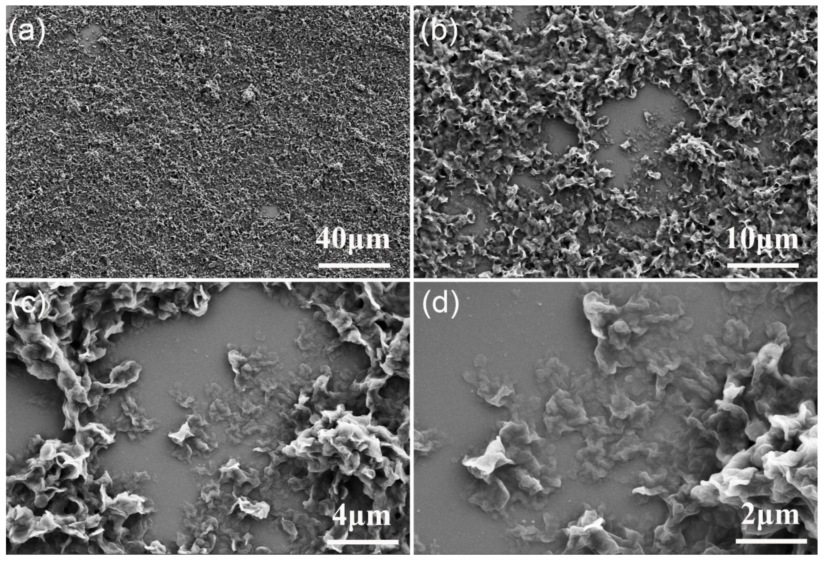 Materials 19 01330 g006