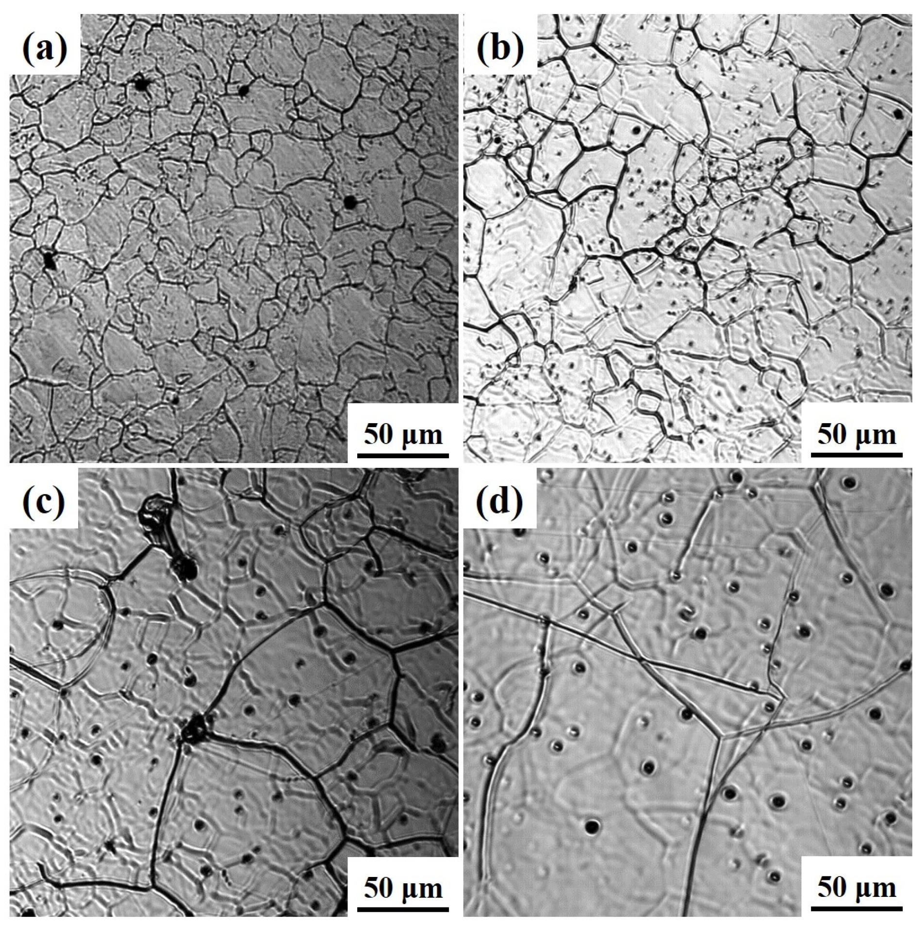 Materials 19 01343 g002 Materials 19 01343 g002