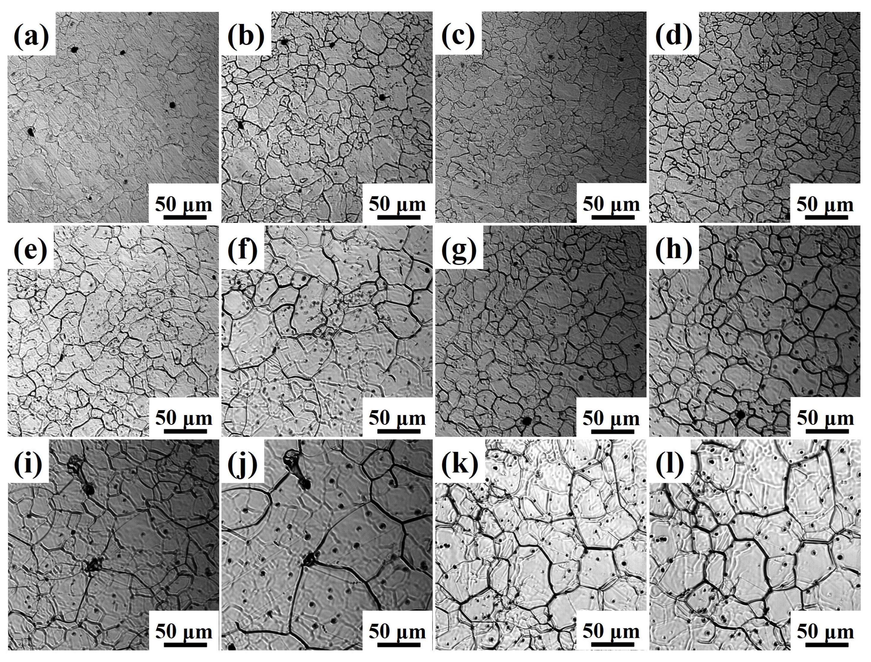 Materials 19 01343 g006 Materials 19 01343 g006
