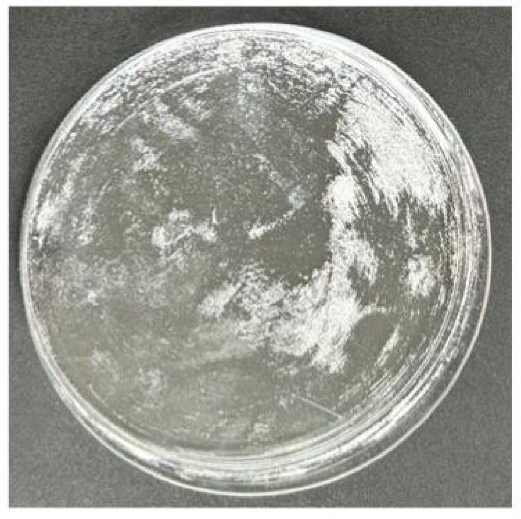 Synthesis and Application of Polyvinyl Alcohol (PVA) Micropowders for ...
