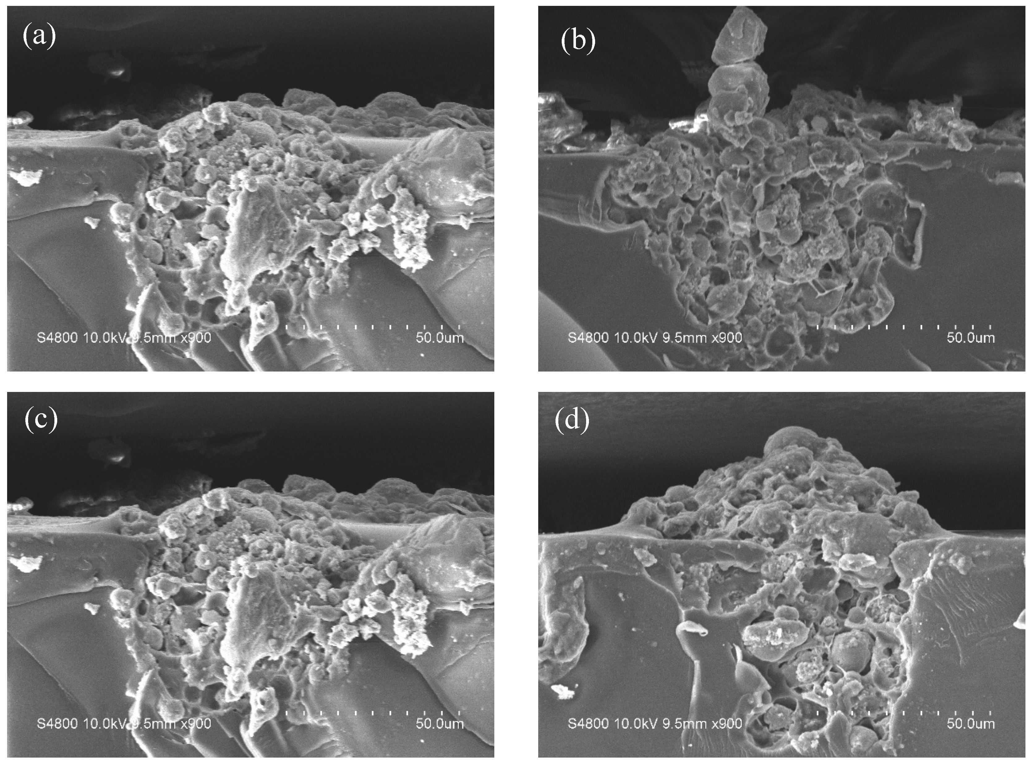 Synthesis and Application of Polyvinyl Alcohol (PVA) Micropowders for ...