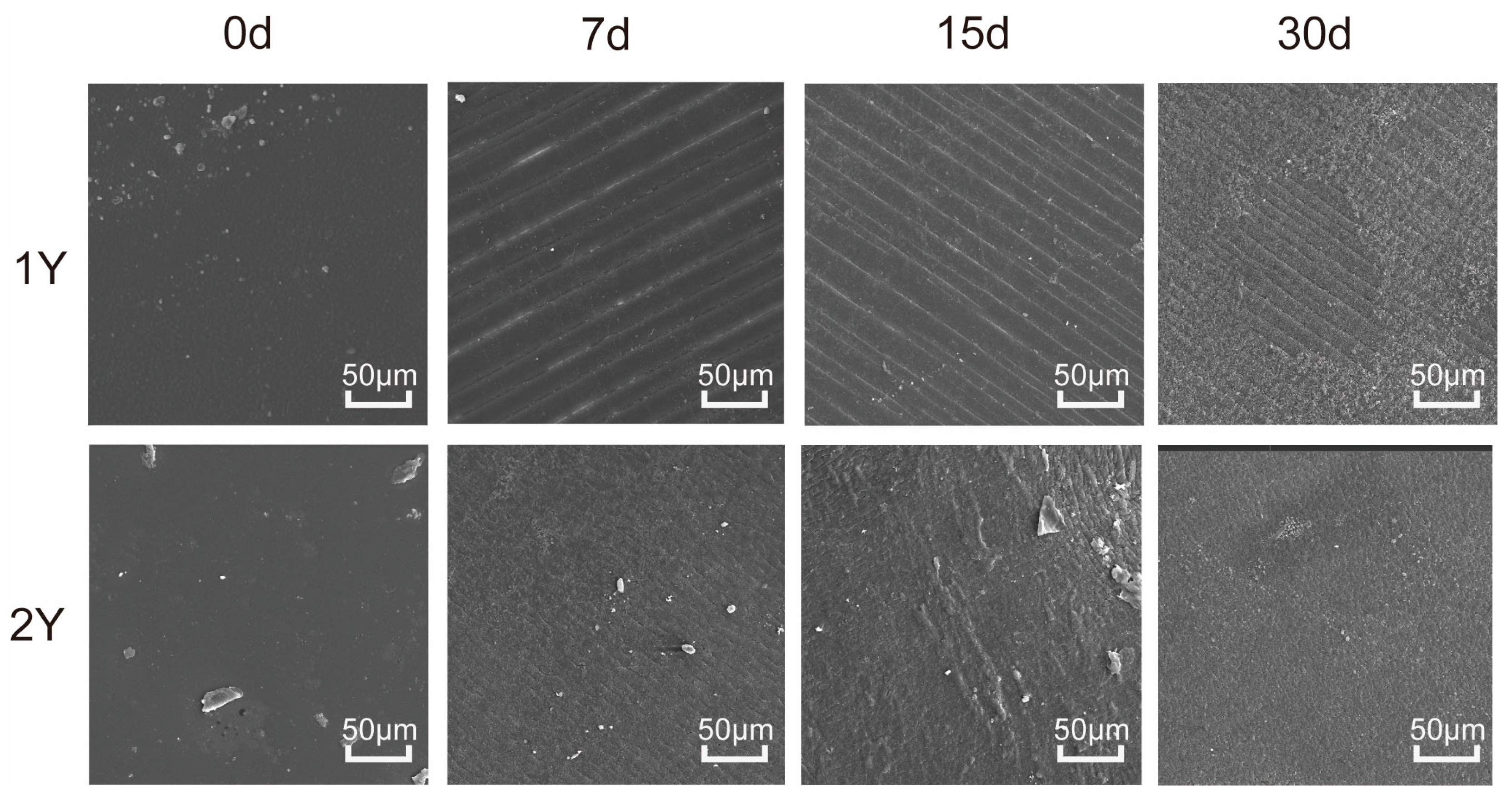 Materials 19 01366 g012