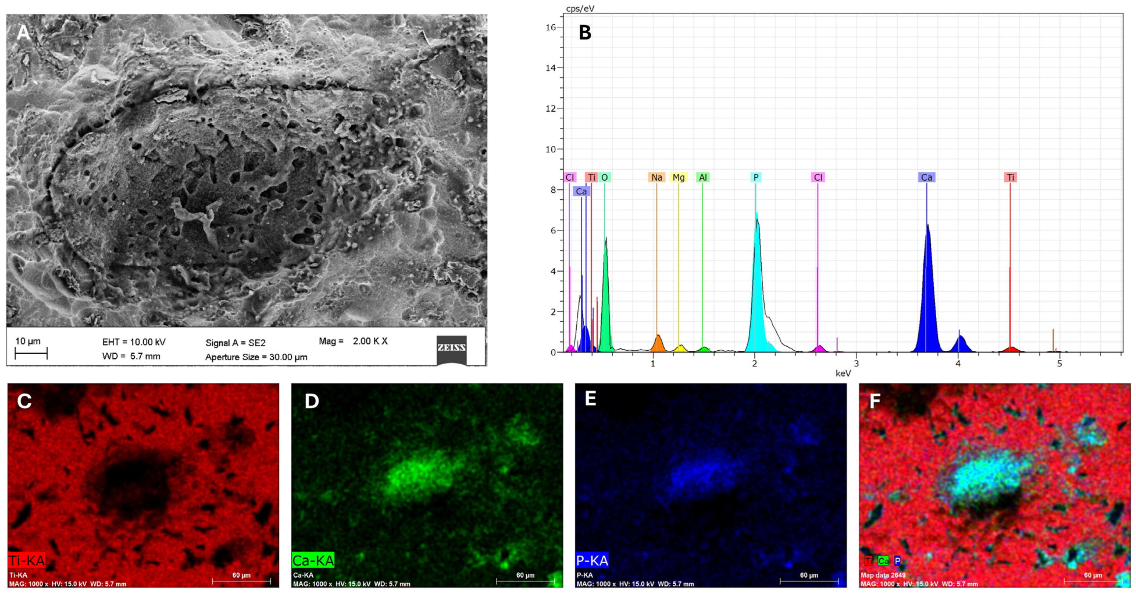 Materials 19 01522 g002