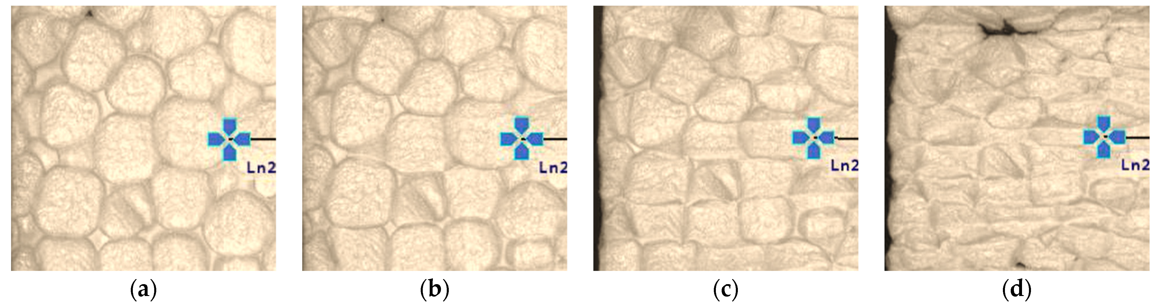 Materials 19 01570 g010
