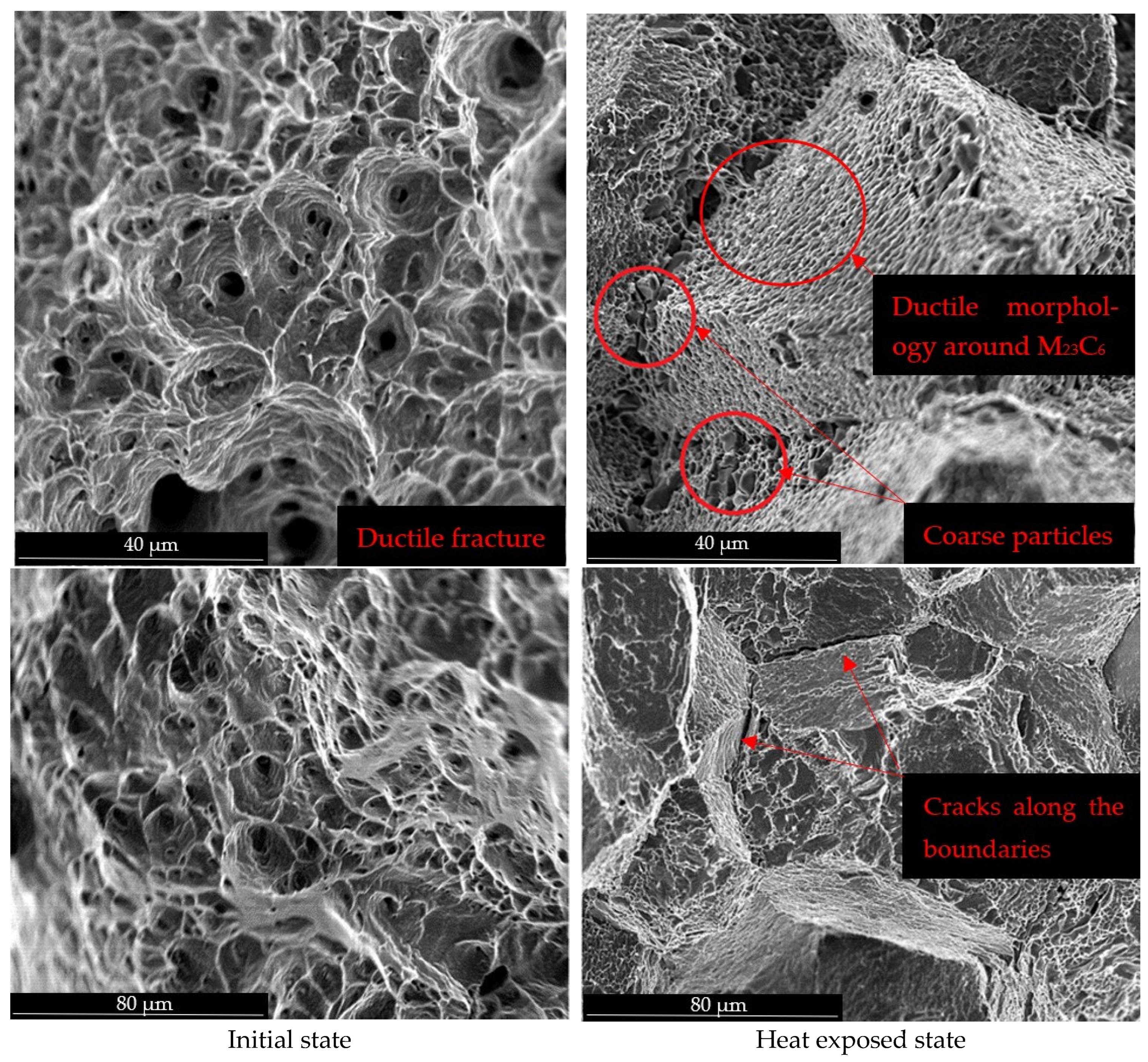 Materials 19 01581 g001
