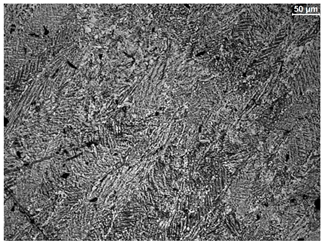 Materials 19 01604 i003