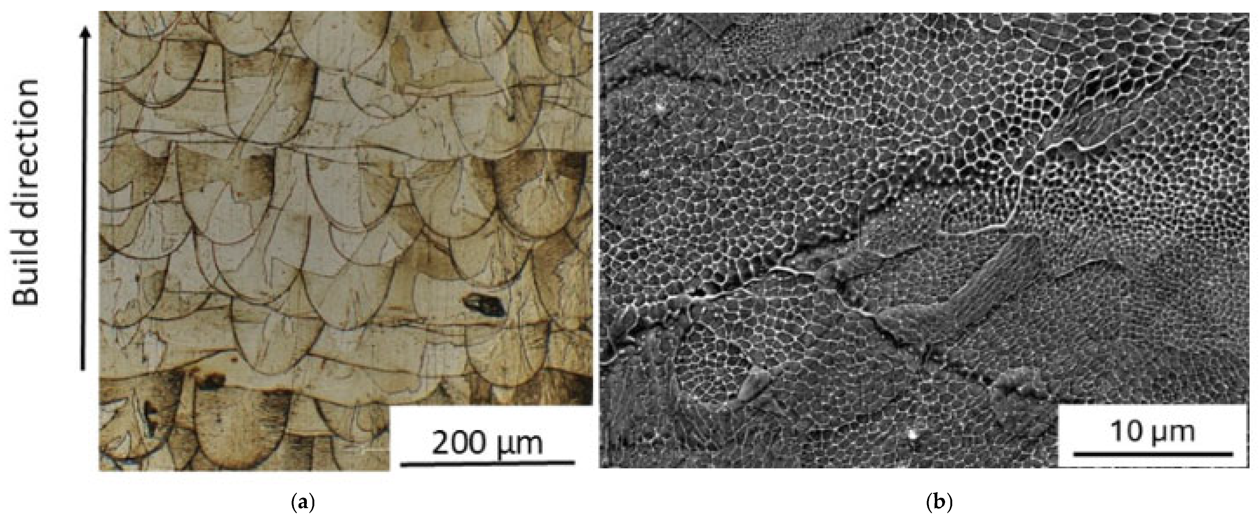 Materials 19 01610 g004 Materials 19 01610 g004