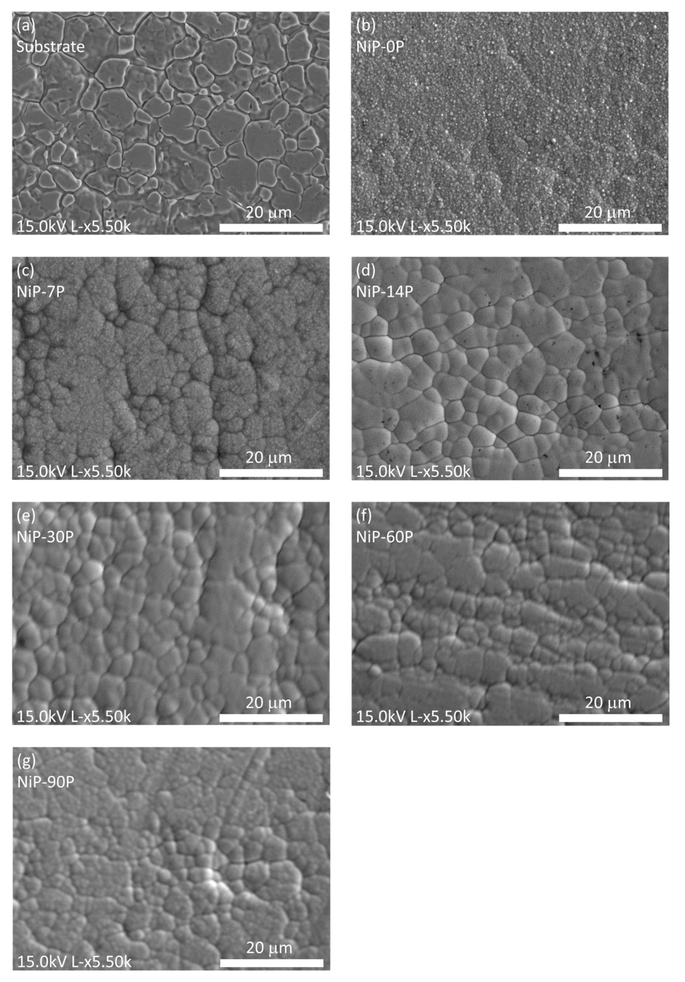 Materials 19 01725 g004