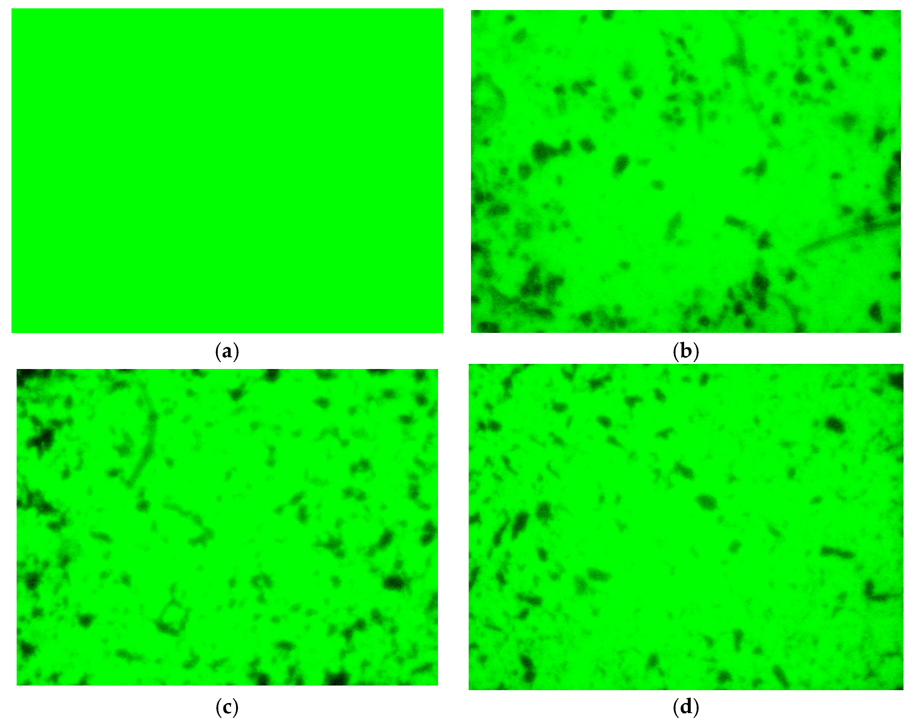 Materials 19 01777 g010 Materials 19 01777 g010