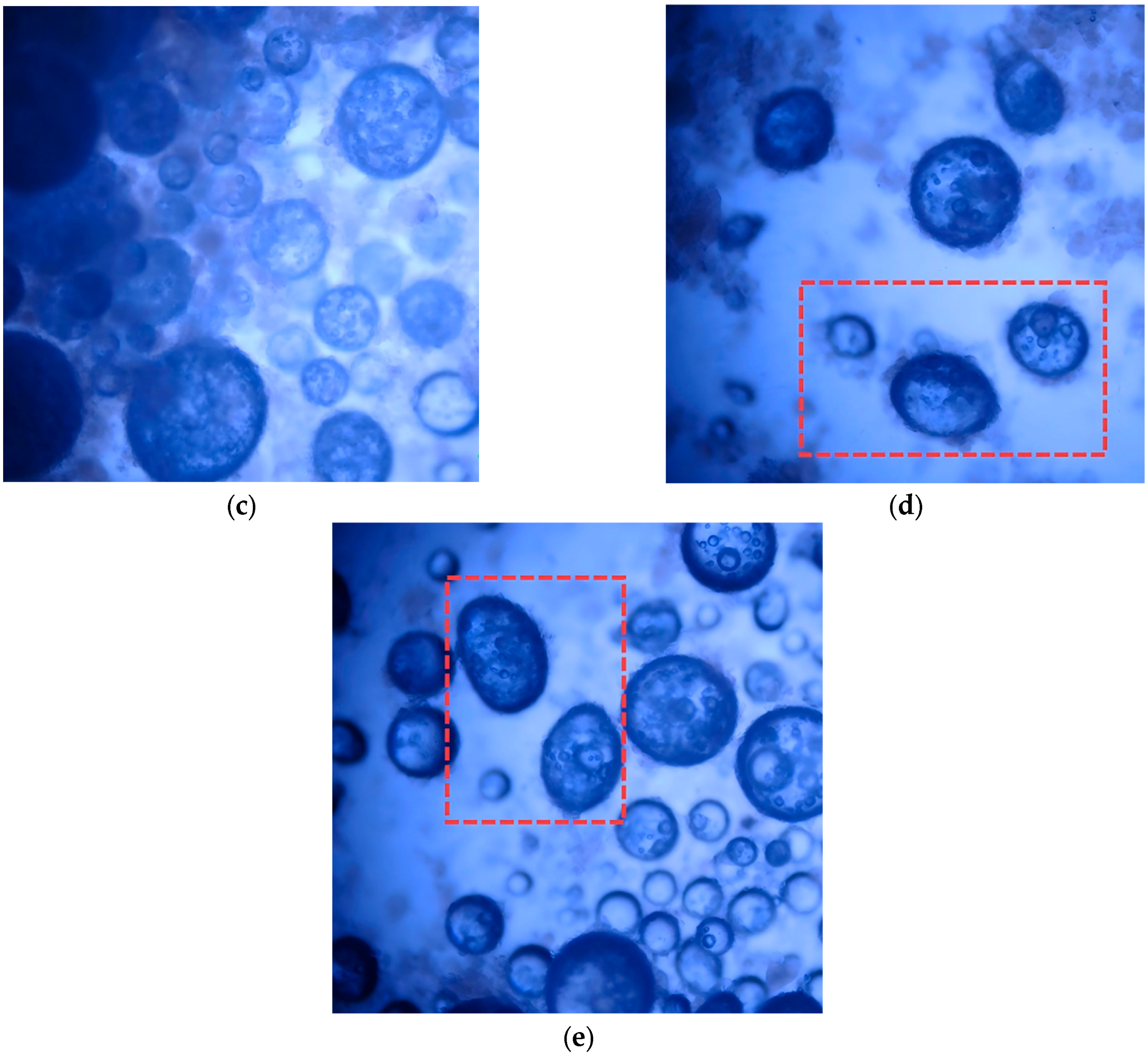 Materials 19 01799 g002b