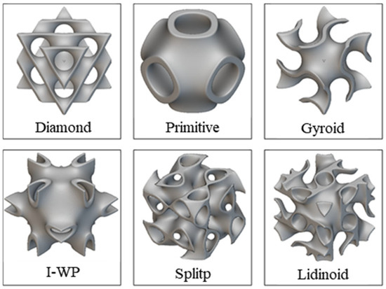Energy Absorption Mechanisms in Minimal Surface Versus Truss-like