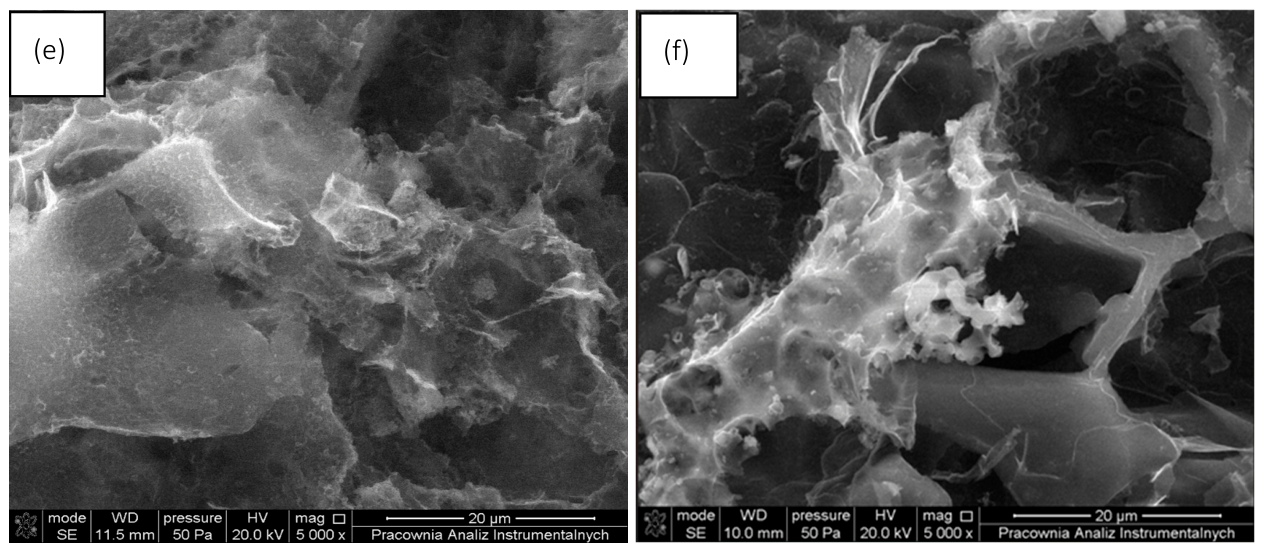 Materials 19 01937 g003b