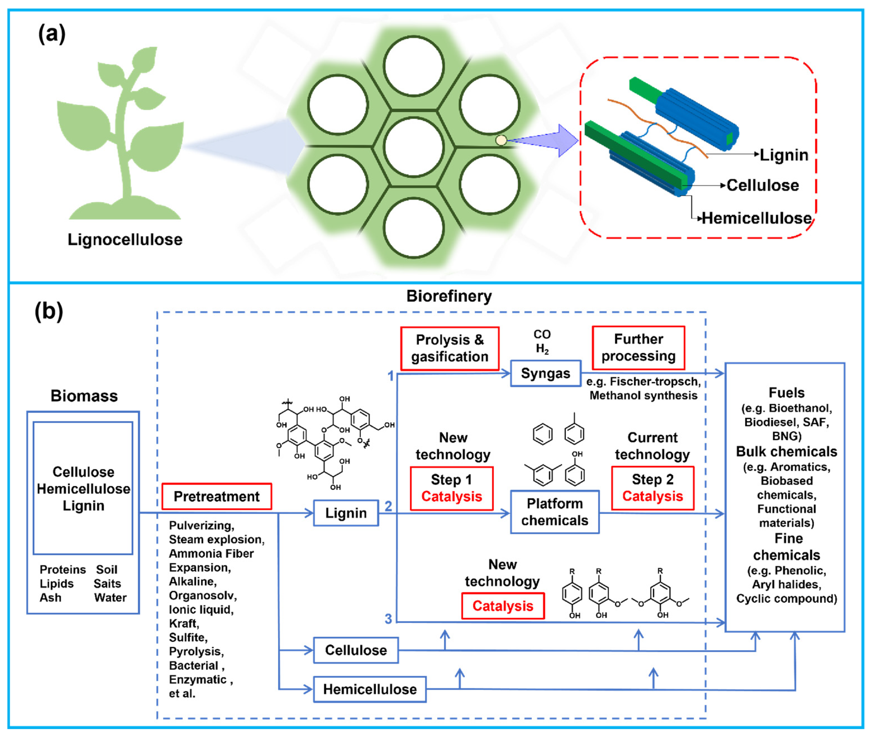 Research Progress on Separation and Extraction Technologies of Lignin
