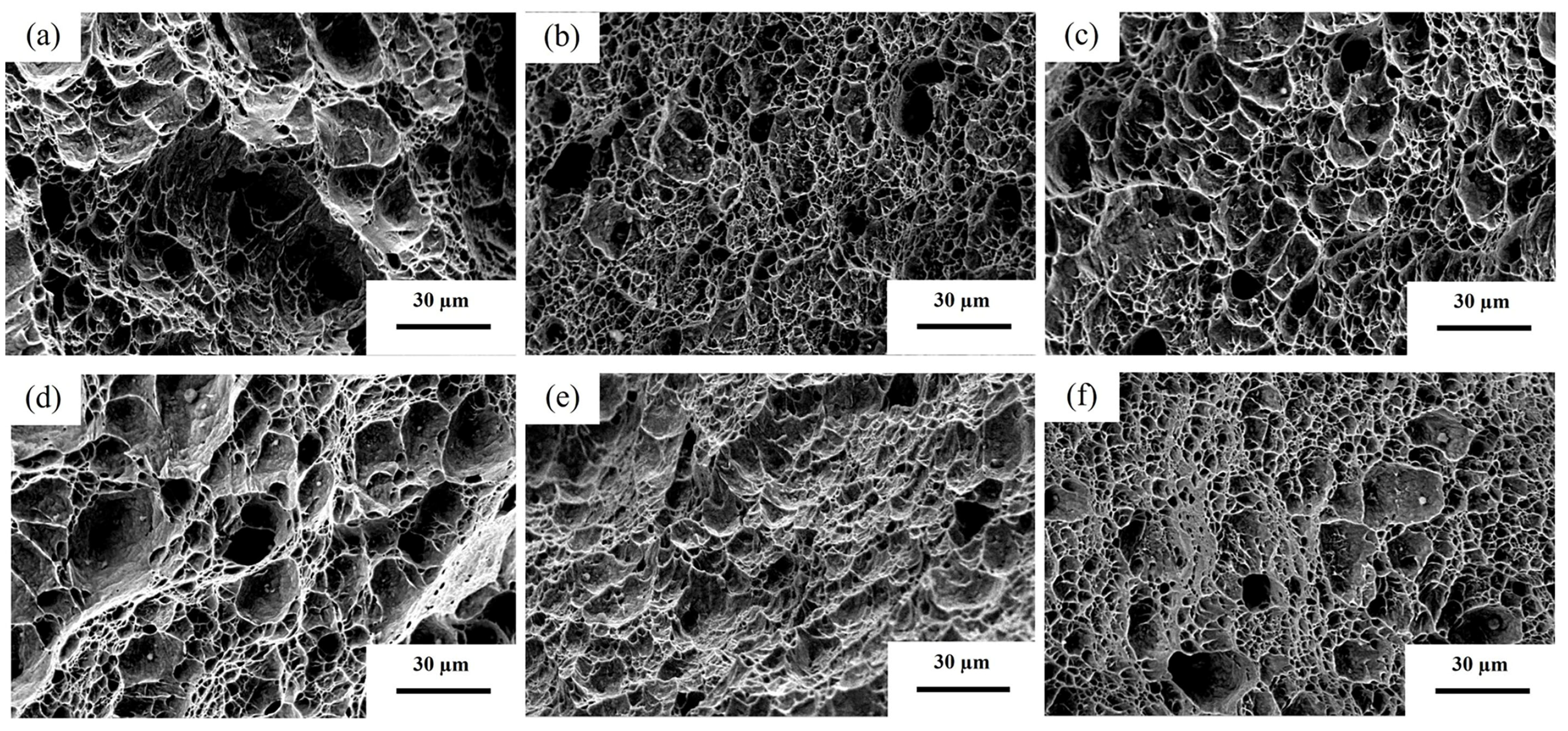 Materials 19 02043 g008