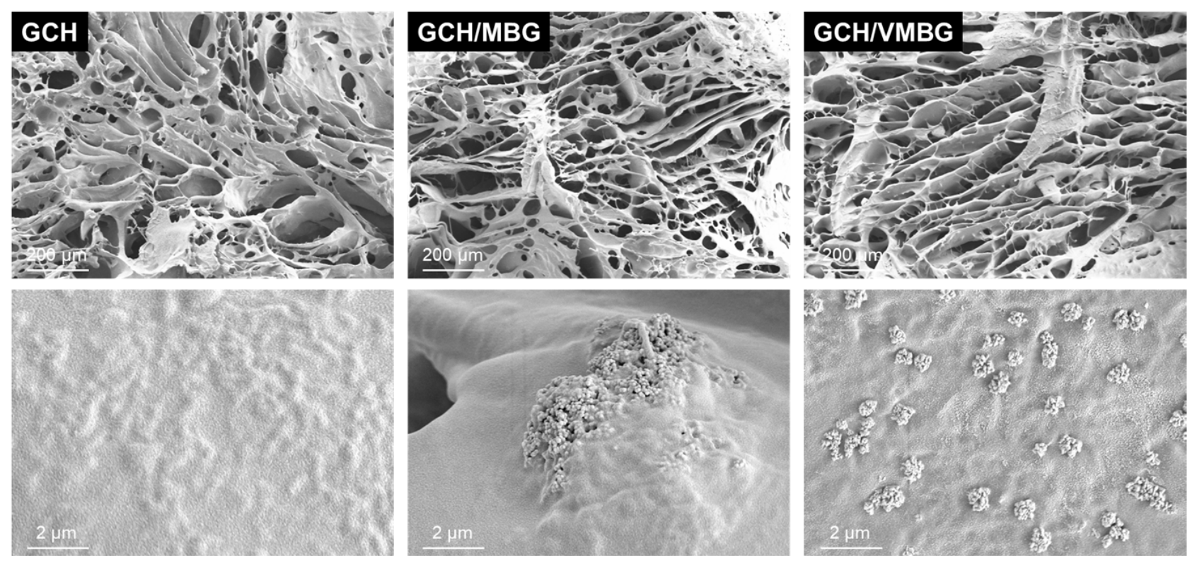 Materials 19 02086 g005 Materials 19 02086 g005