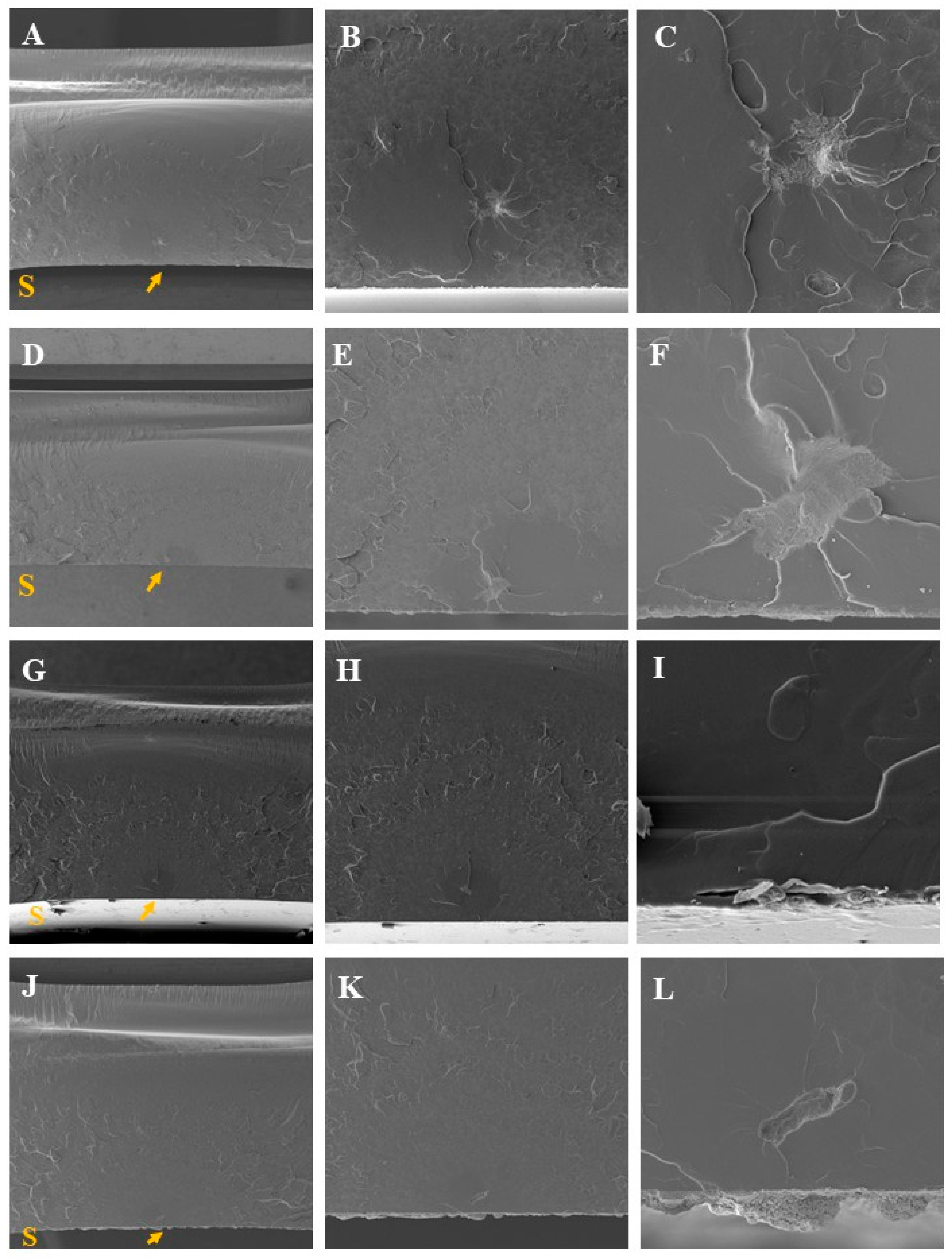 Materials 19 02130 g007