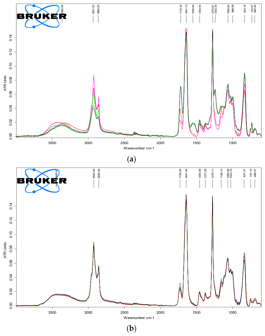 Materials 19 02358 g007a Materials 19 02358 g007a