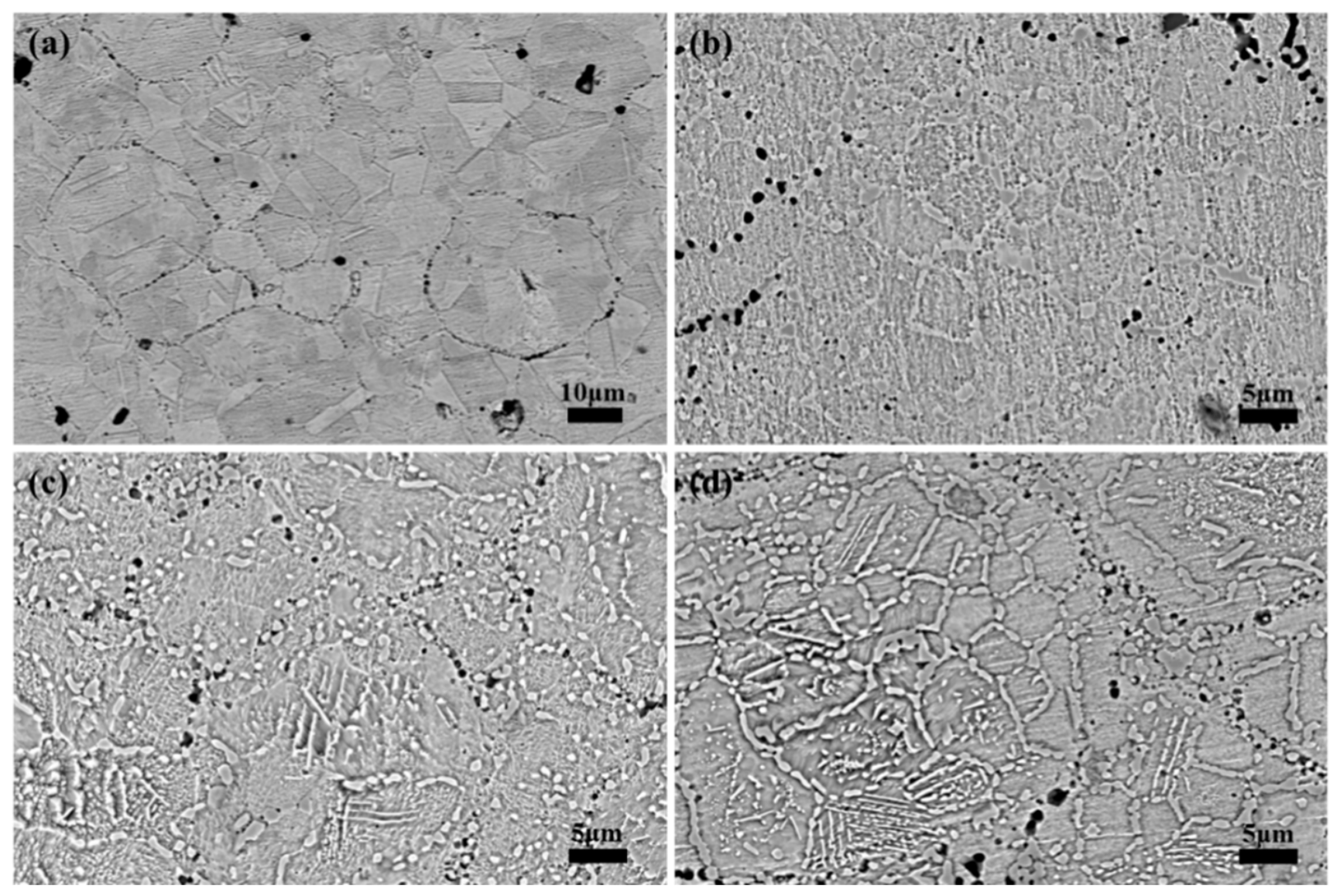 Materials 19 02501 g004 Materials 19 02501 g004
