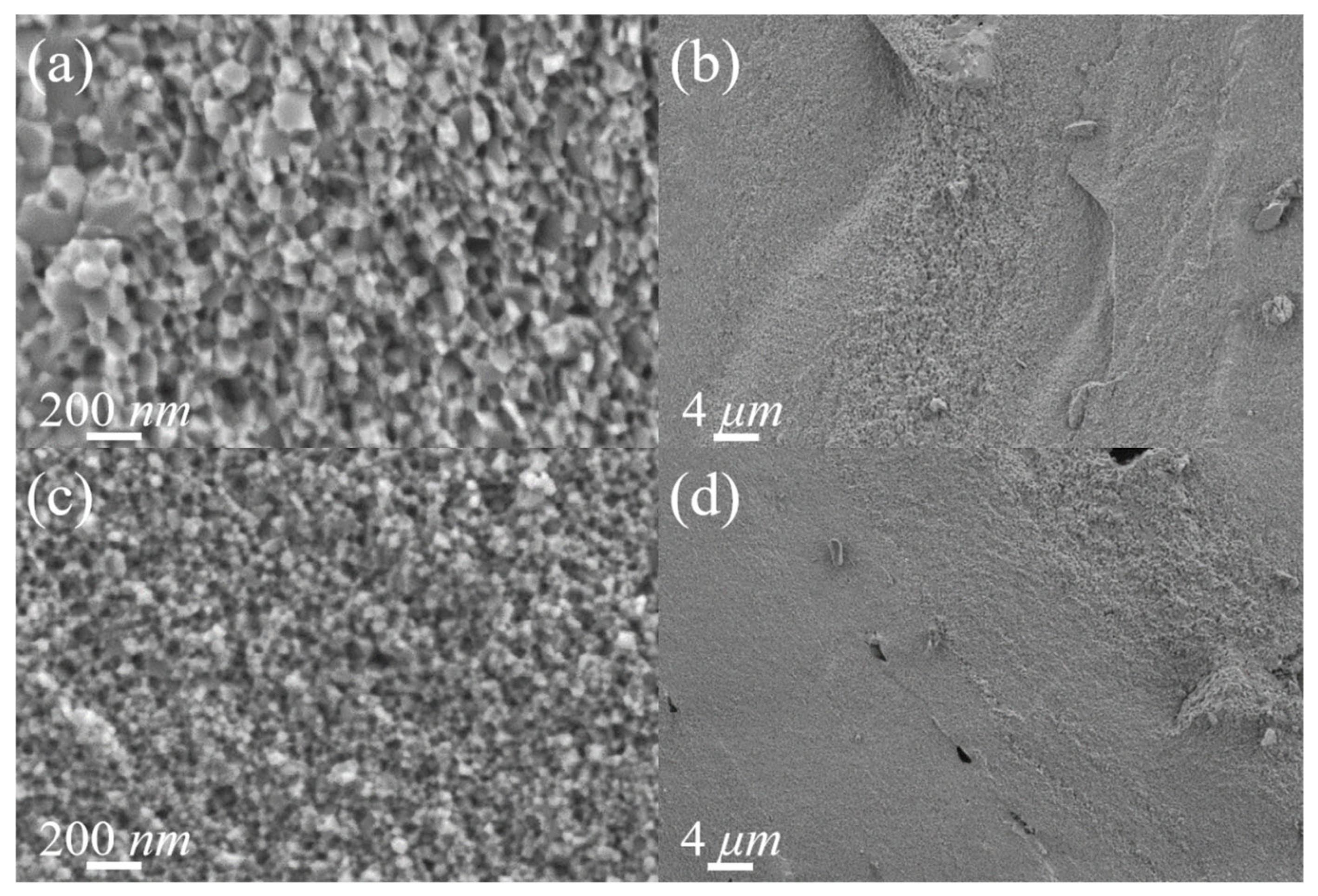 Materials 19 02523 g004 Materials 19 02523 g004