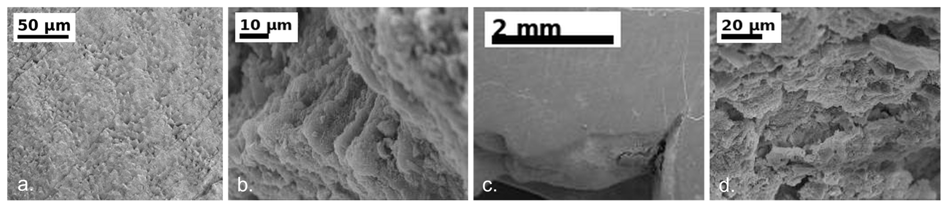 Materials 19 02550 g002 Materials 19 02550 g002